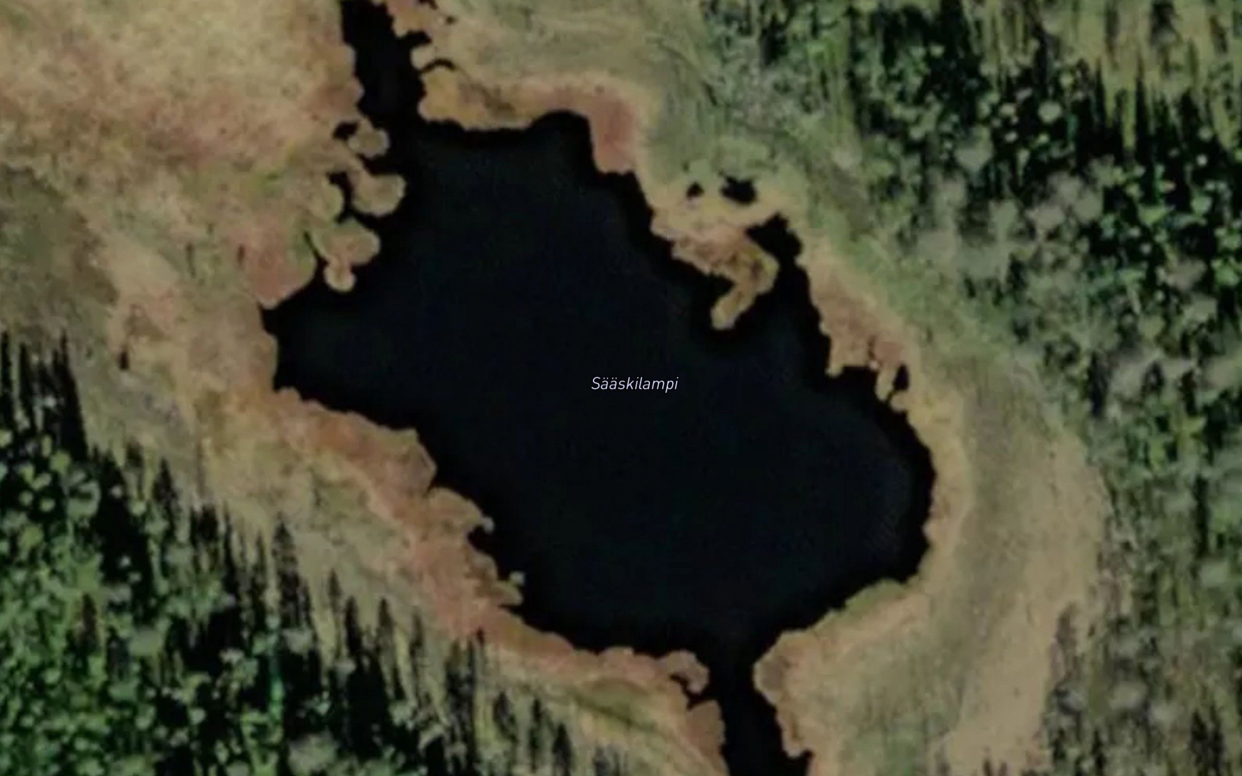 Saaskilampi