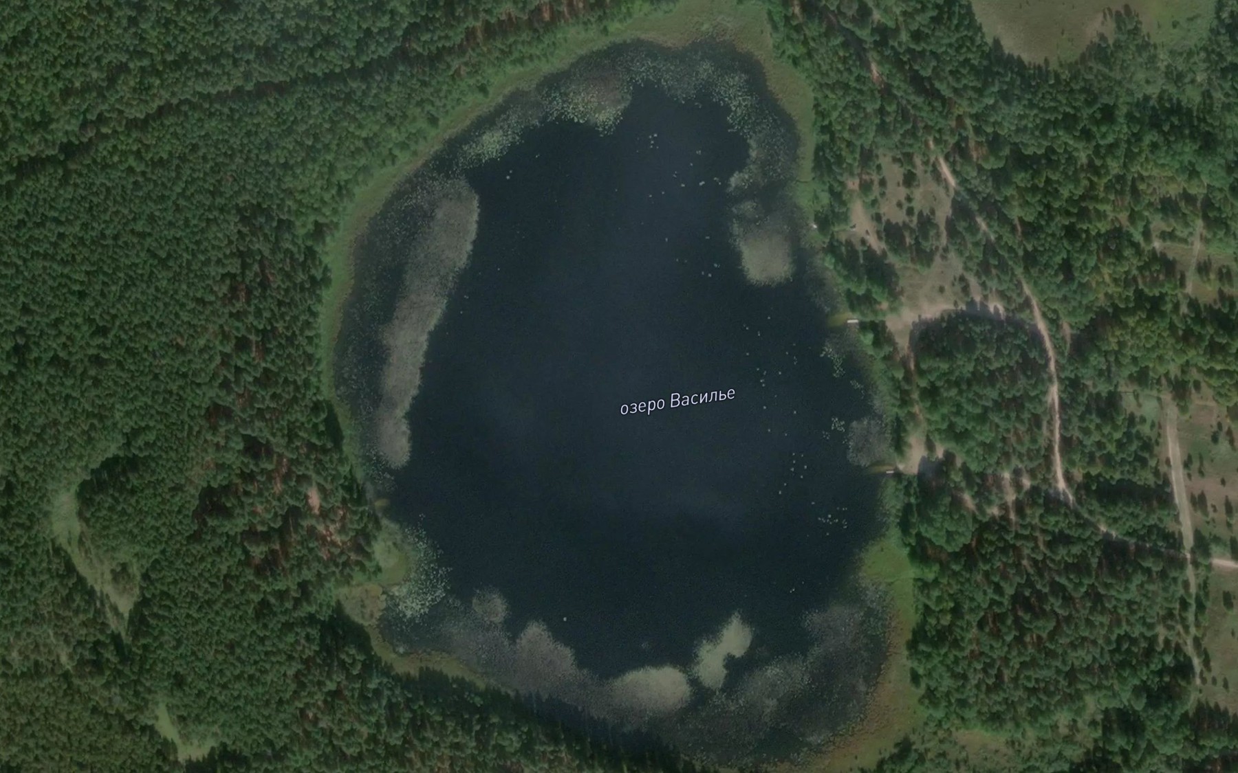 Satellite map of the Ozero Vasil'ye