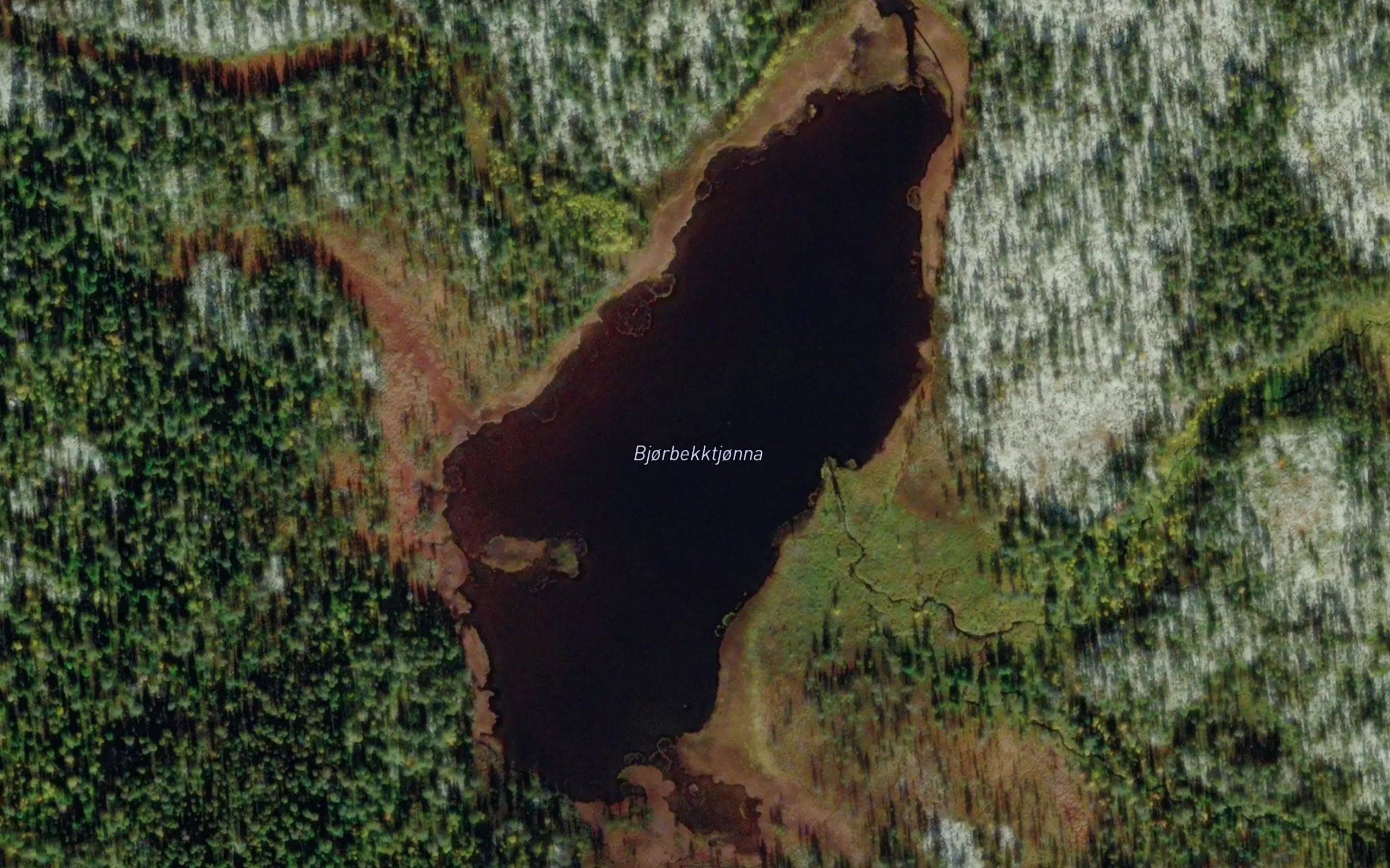 Bjorbekktjorna