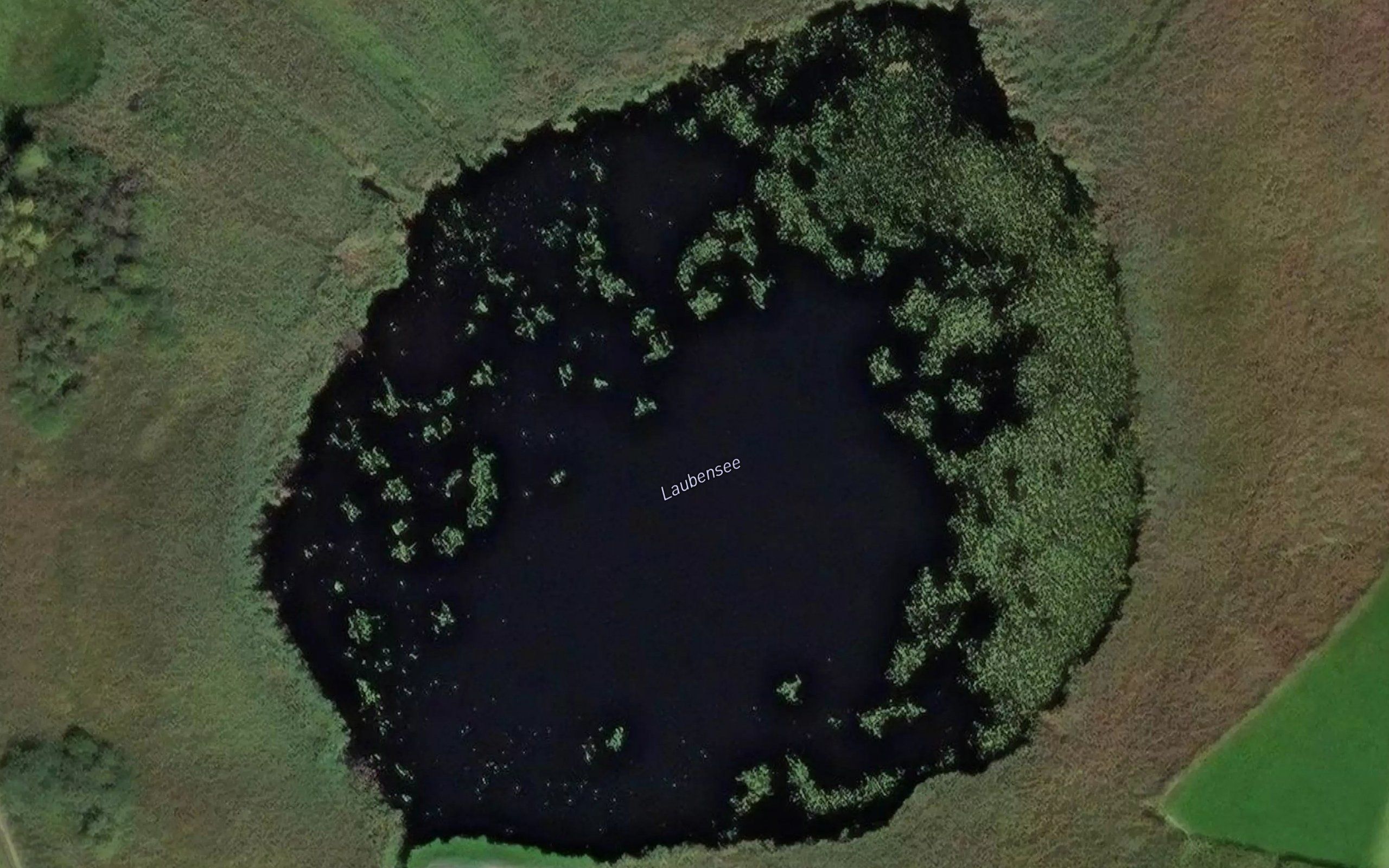 Laubensee