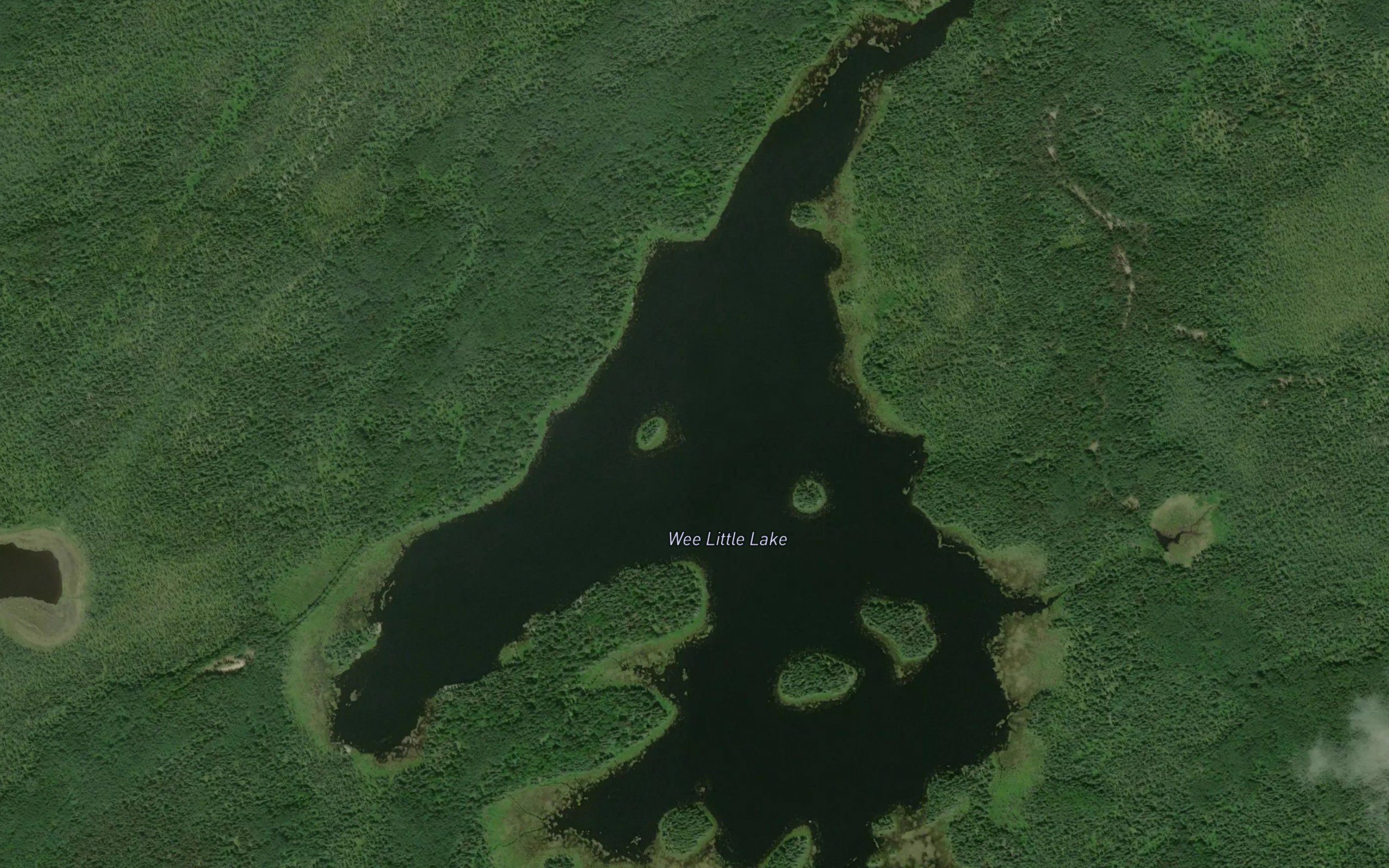 Wee Little Lake