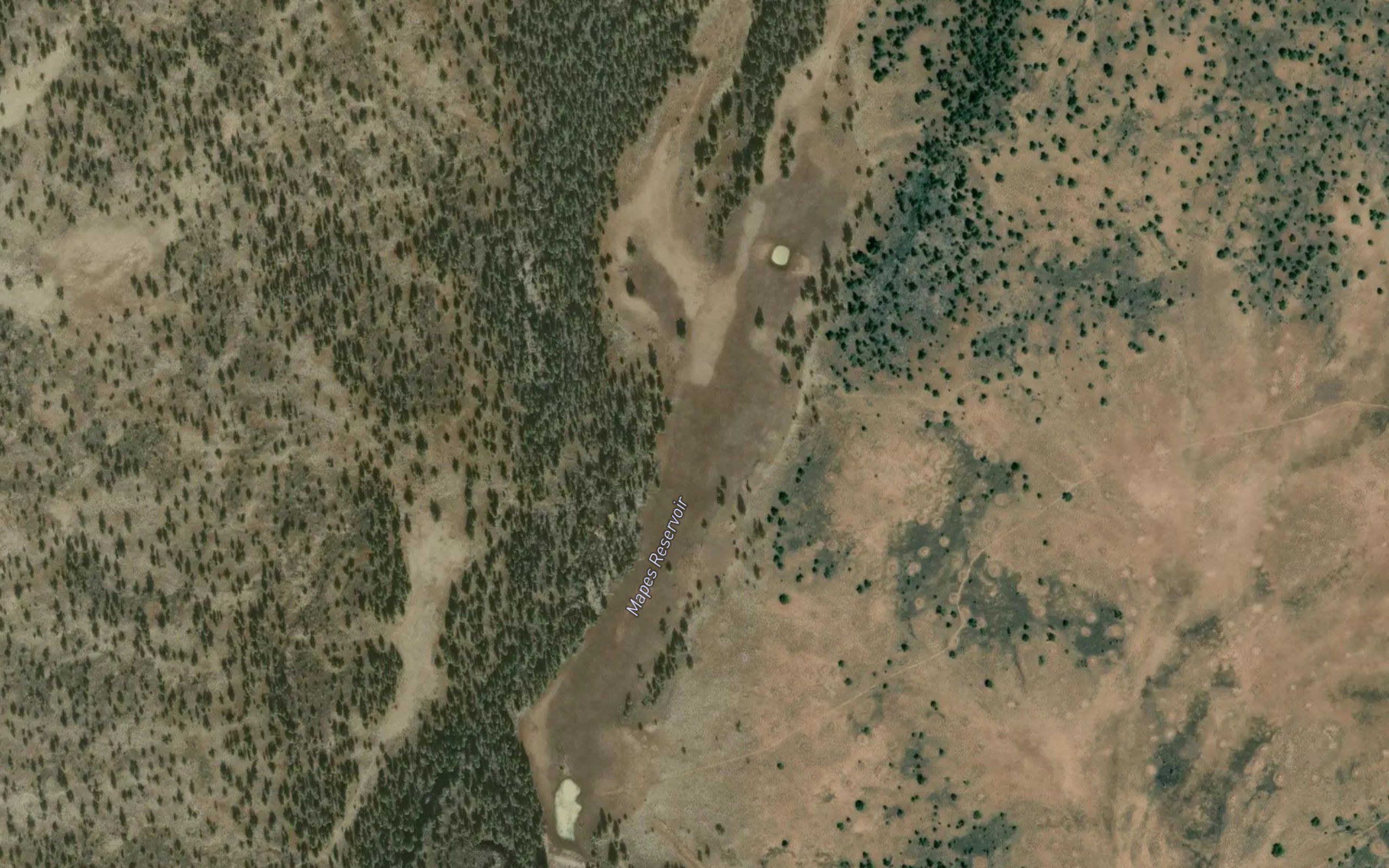 Mapes Reservoir
