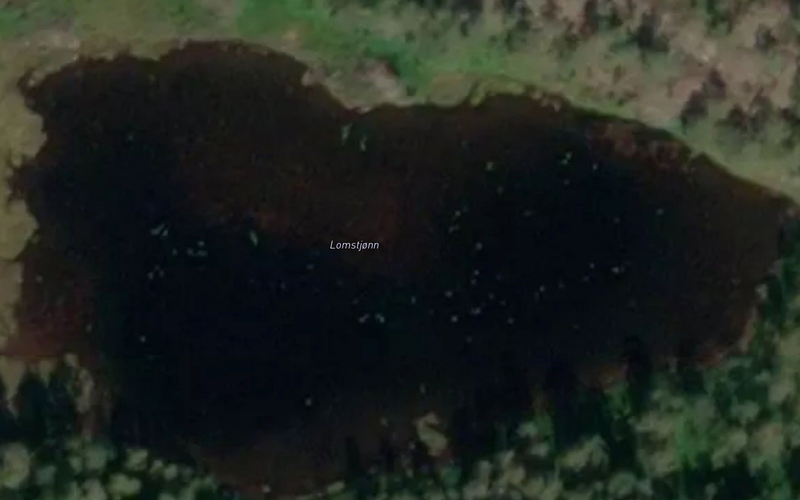 Lomstjorn