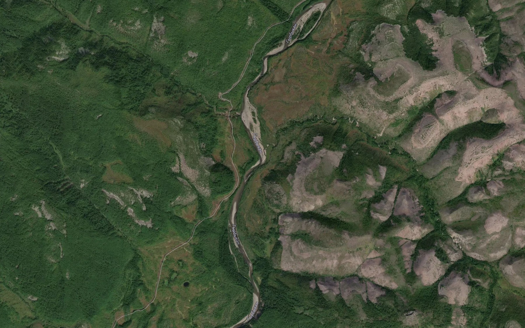 Satellite map of the Pasmurnyy