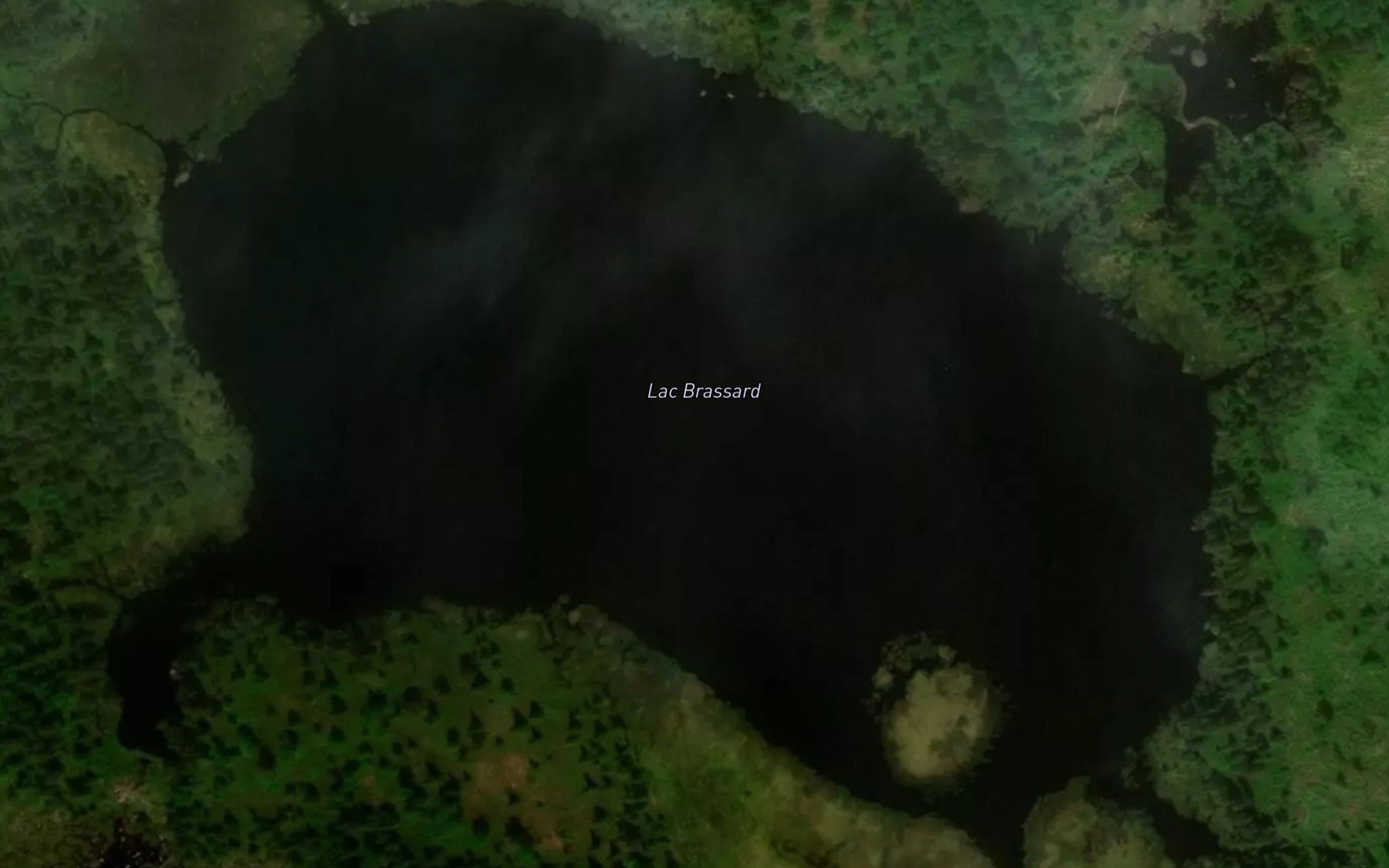 Satellite map of the Lac Brassard
