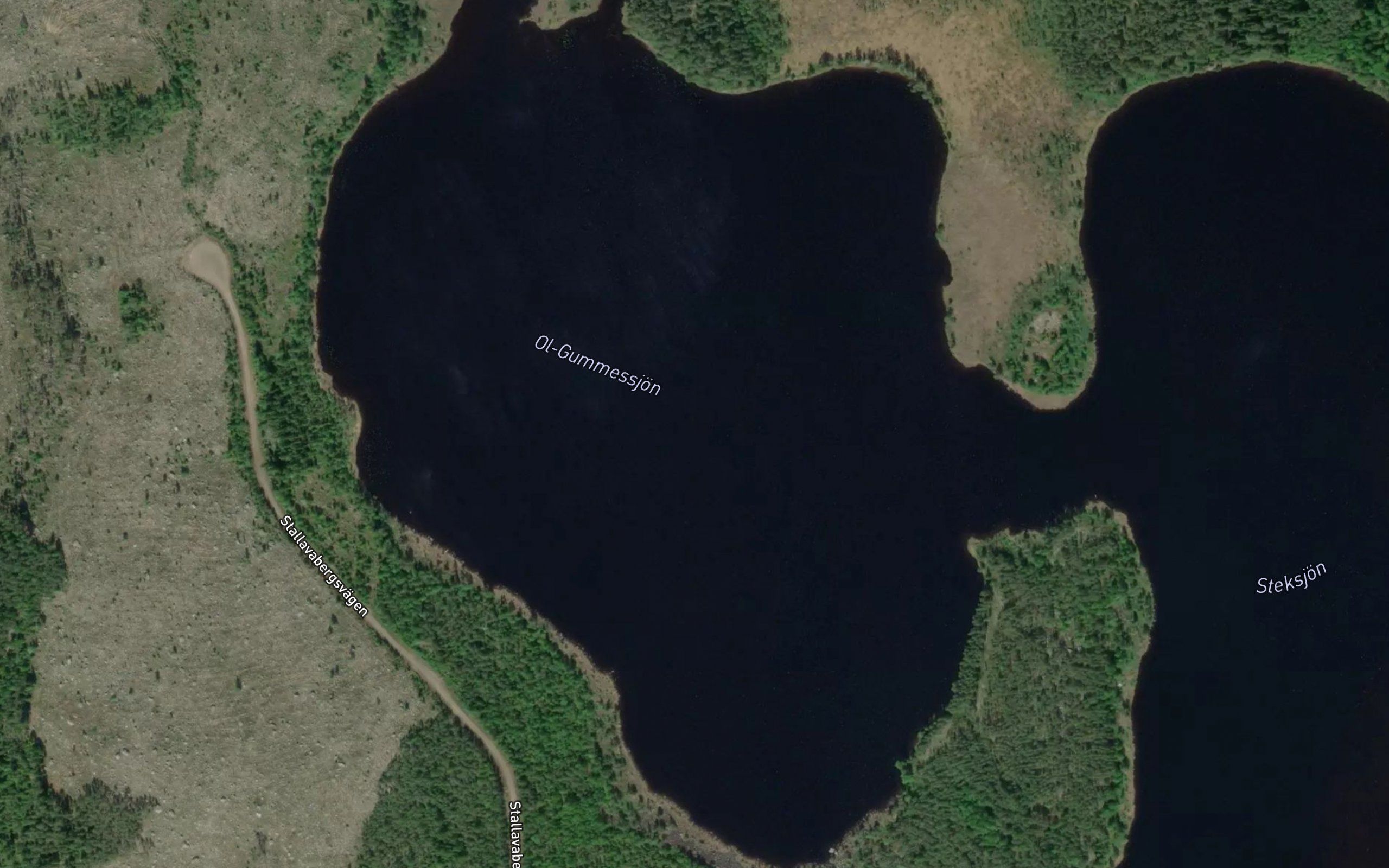 Vastersjon