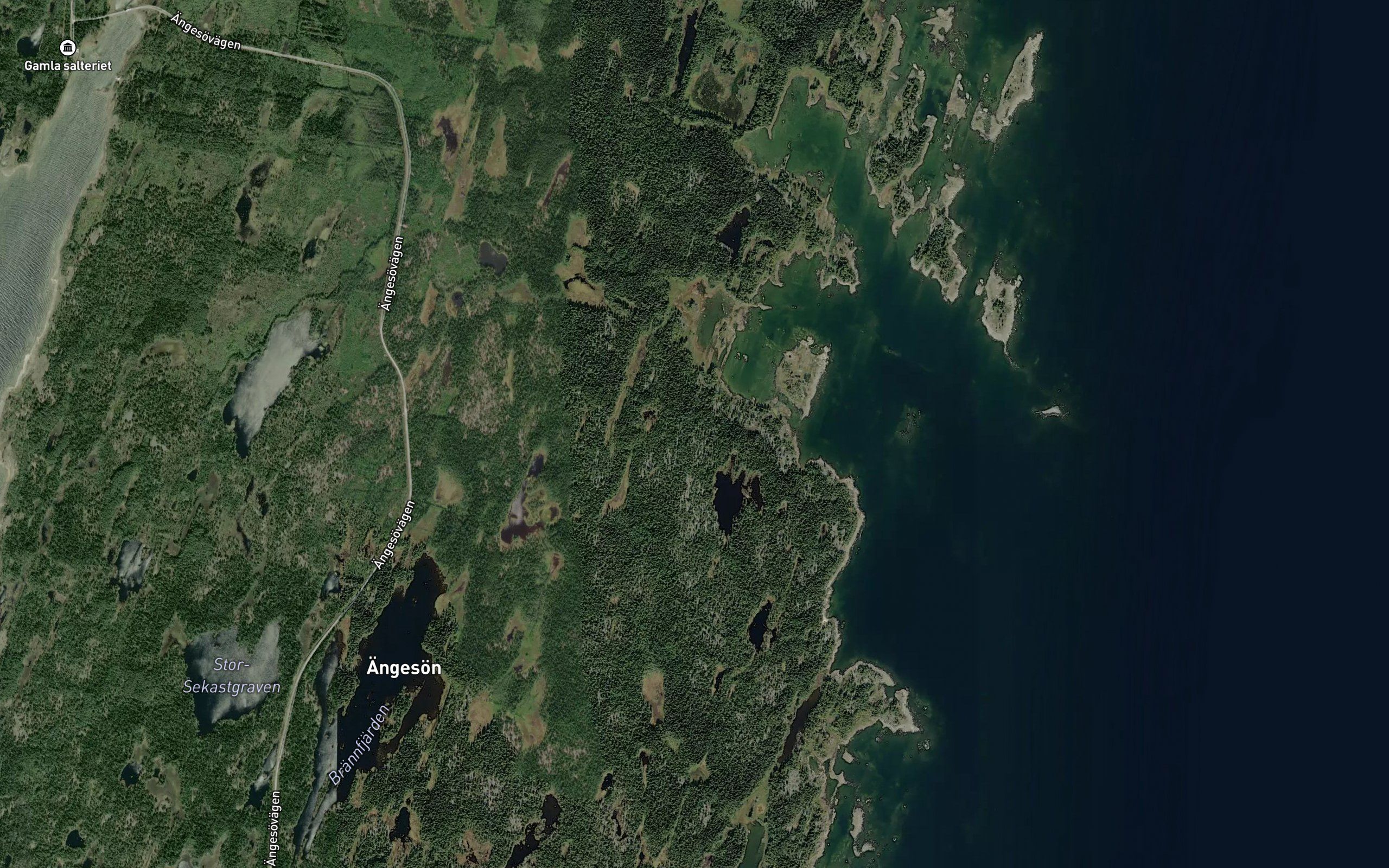 Kontviken