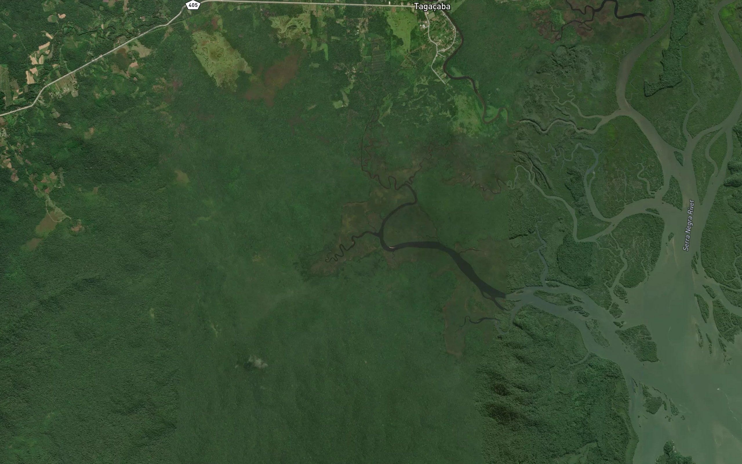 Rio Borrachudo