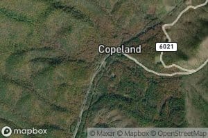 South Fork Pads Creek