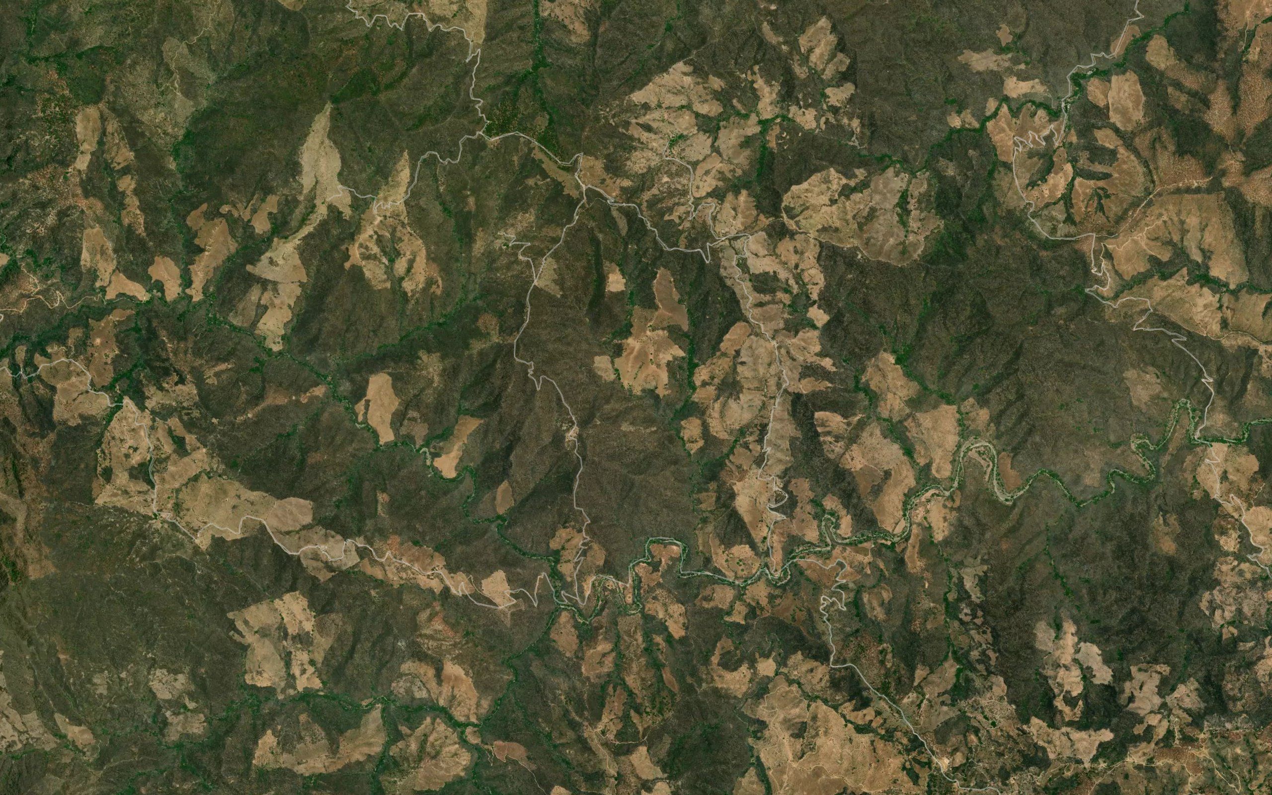 Barranca Seca