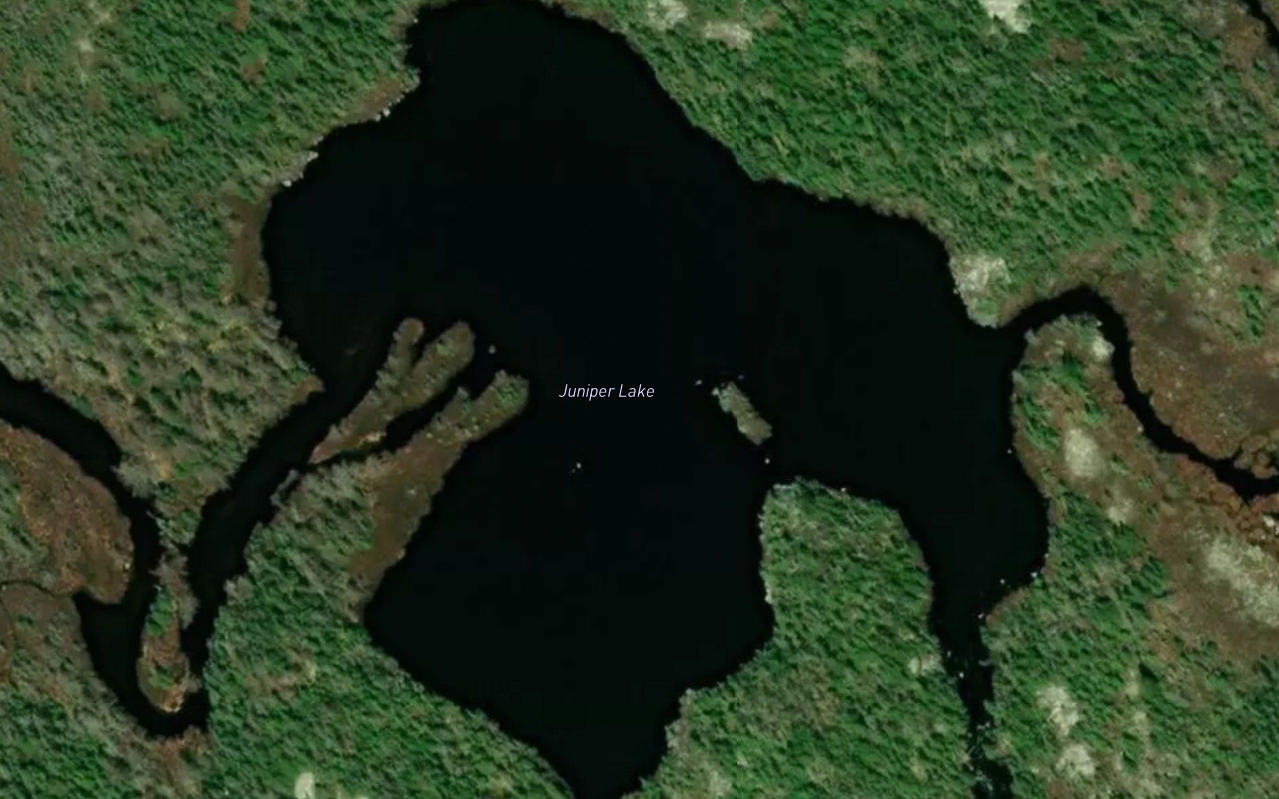 Juniper Lake