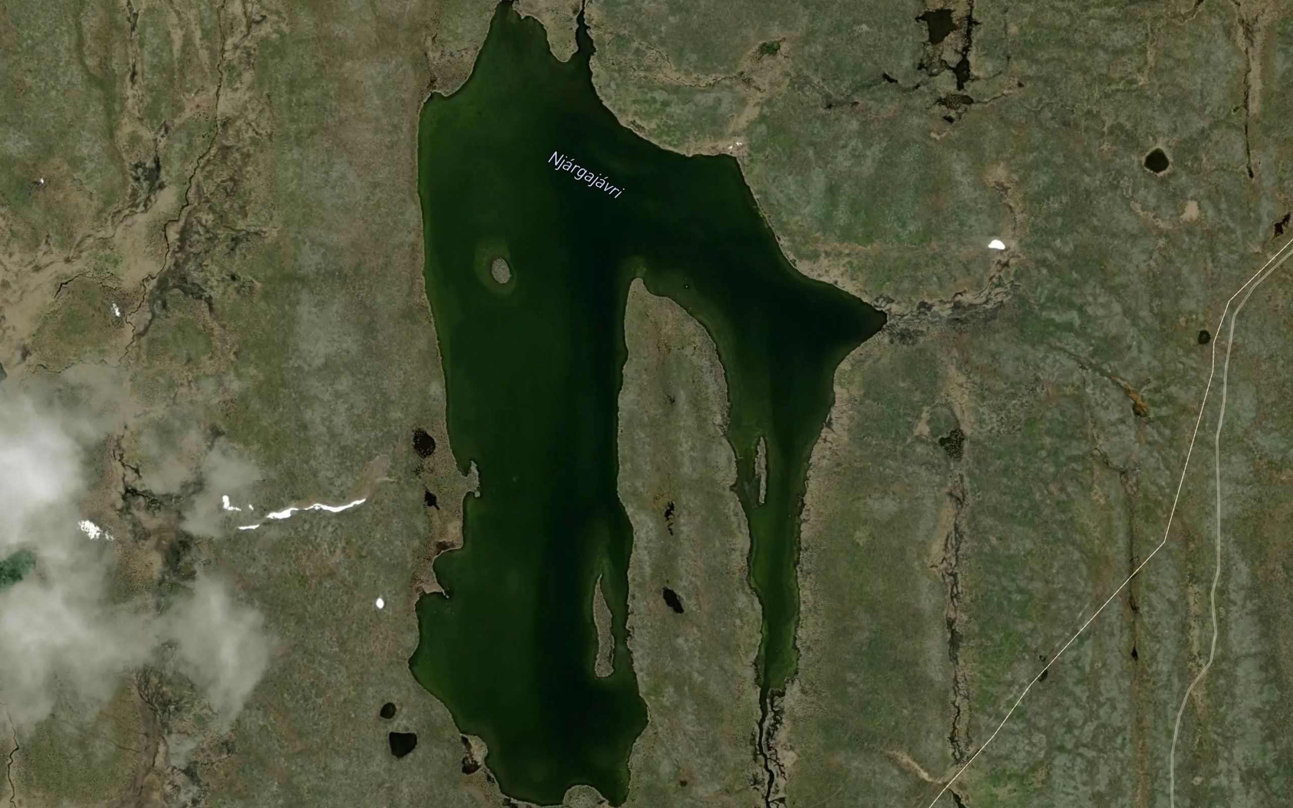Njargajavri