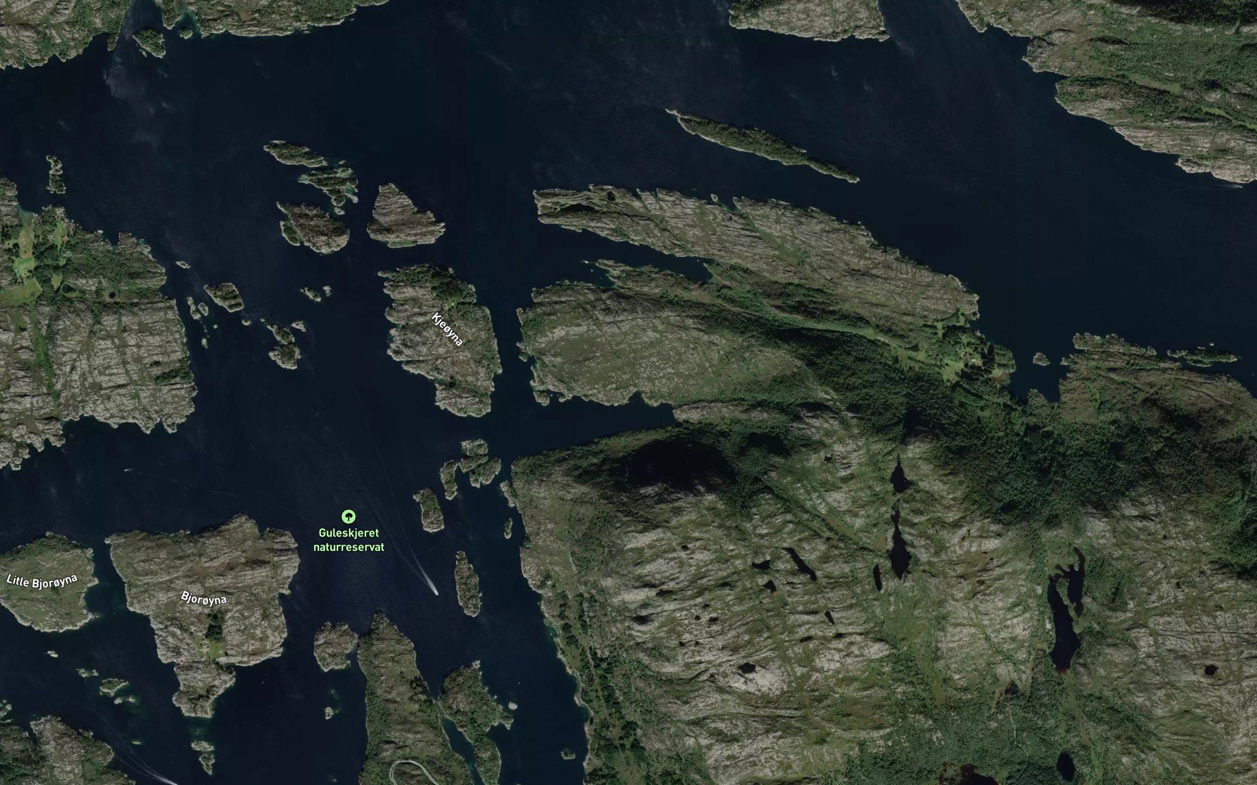 Skjenstovika