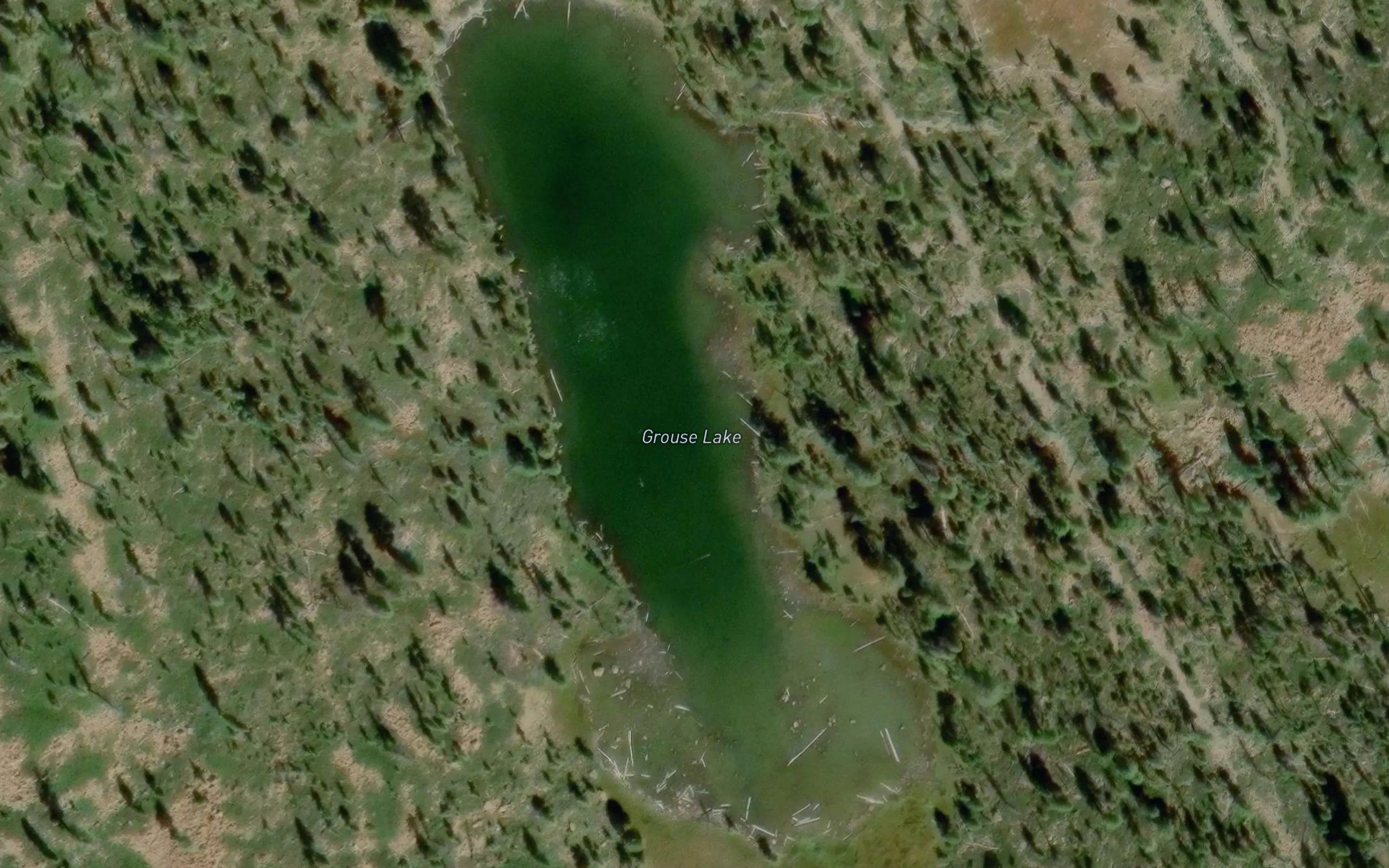 Grouse Lake