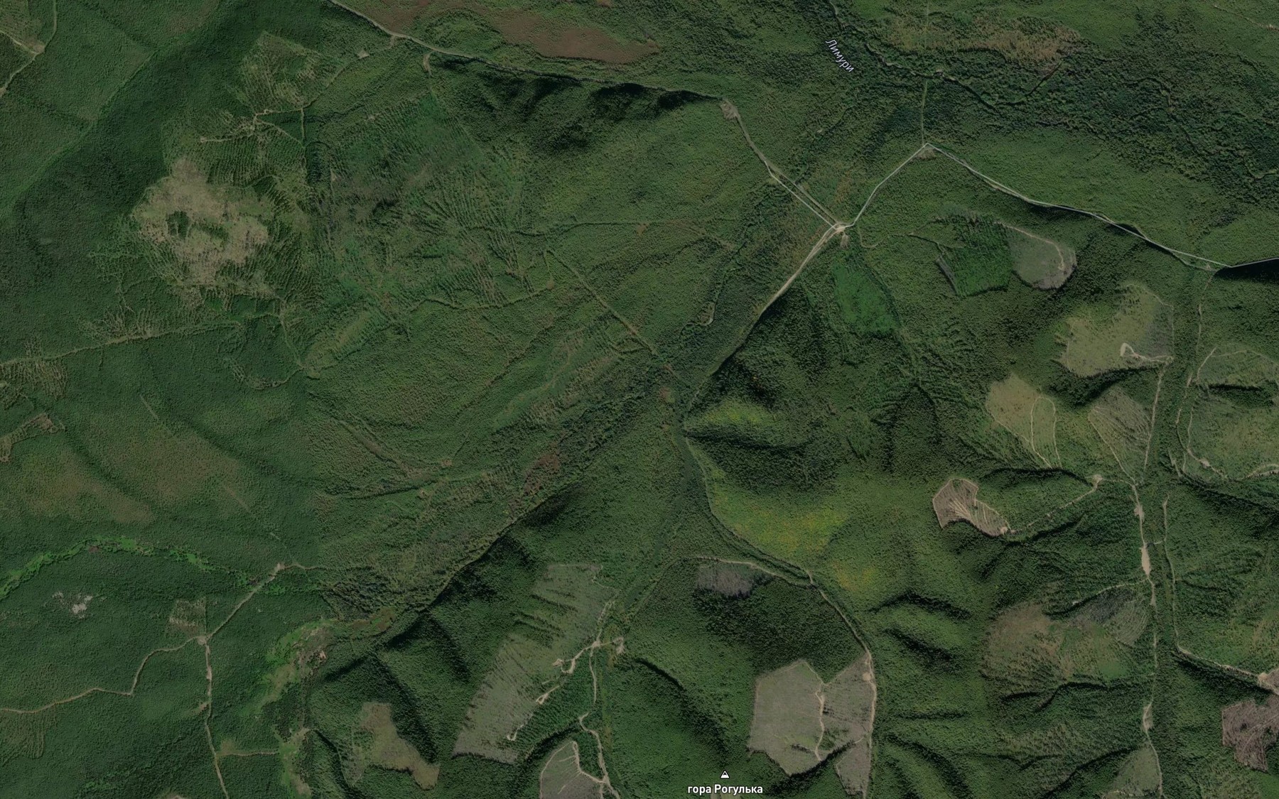 Satellite map of the Topkiy