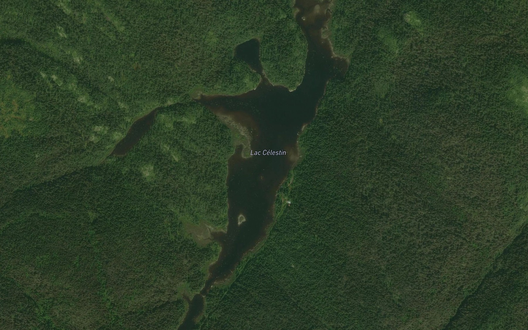 Satellite map of the Lac Celestin