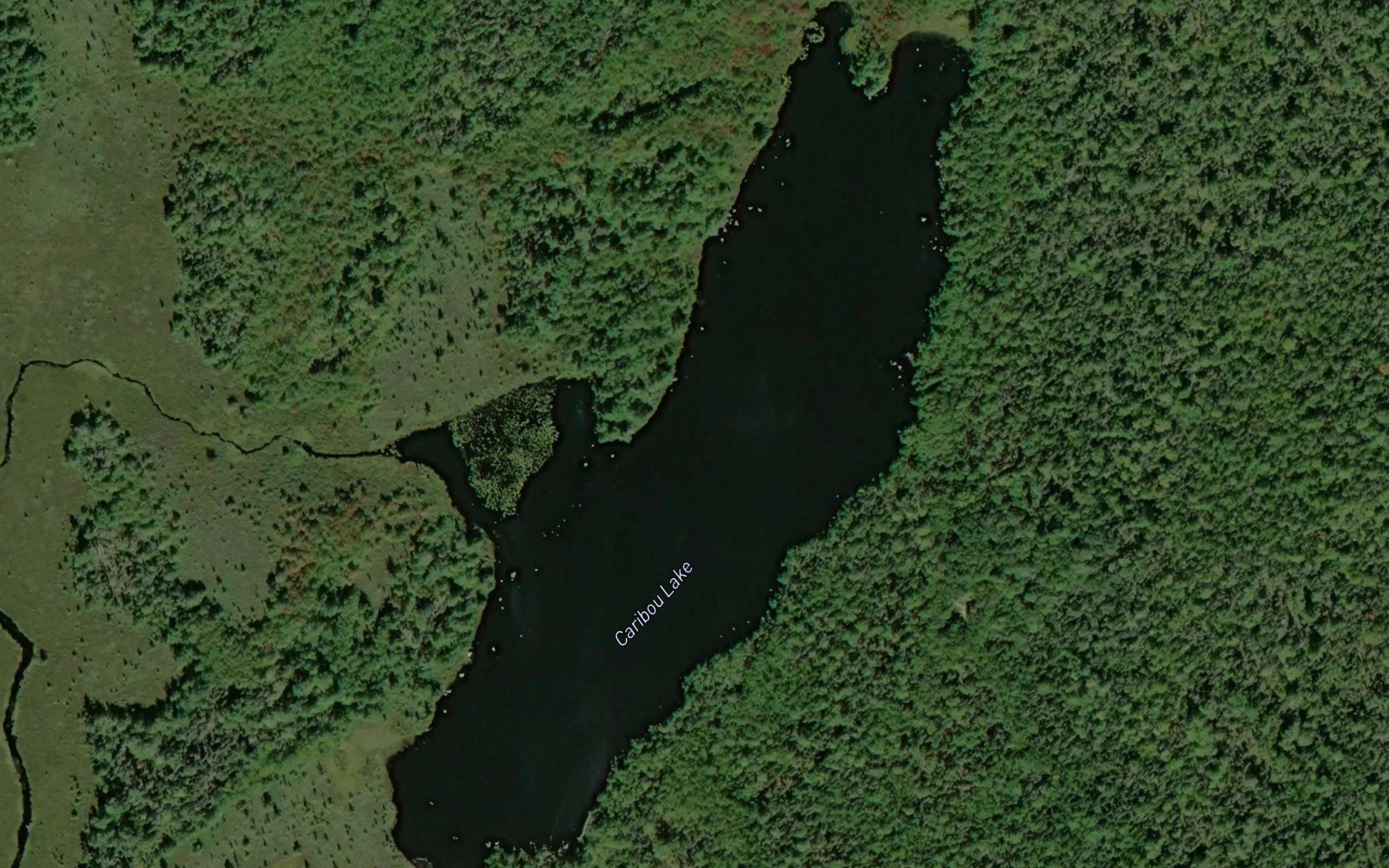 Caribou Lake