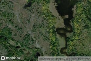 Farrington Creek