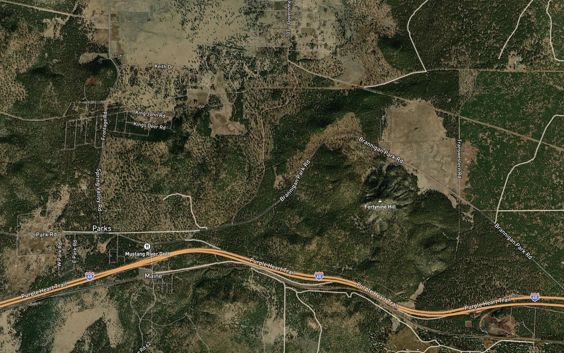 Satellite map of the McDermit Spring