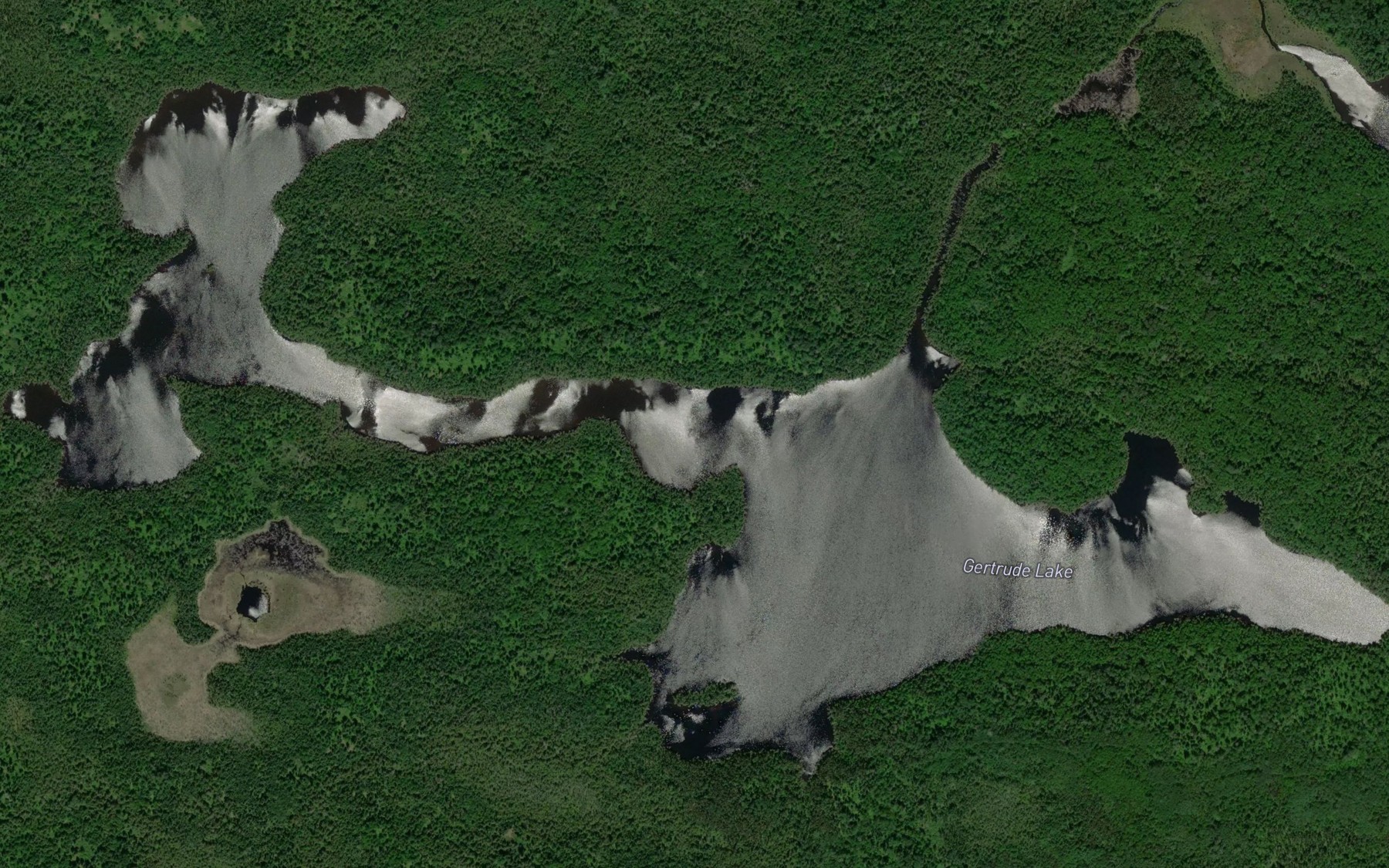 Satellite map of the Gertrude Lake