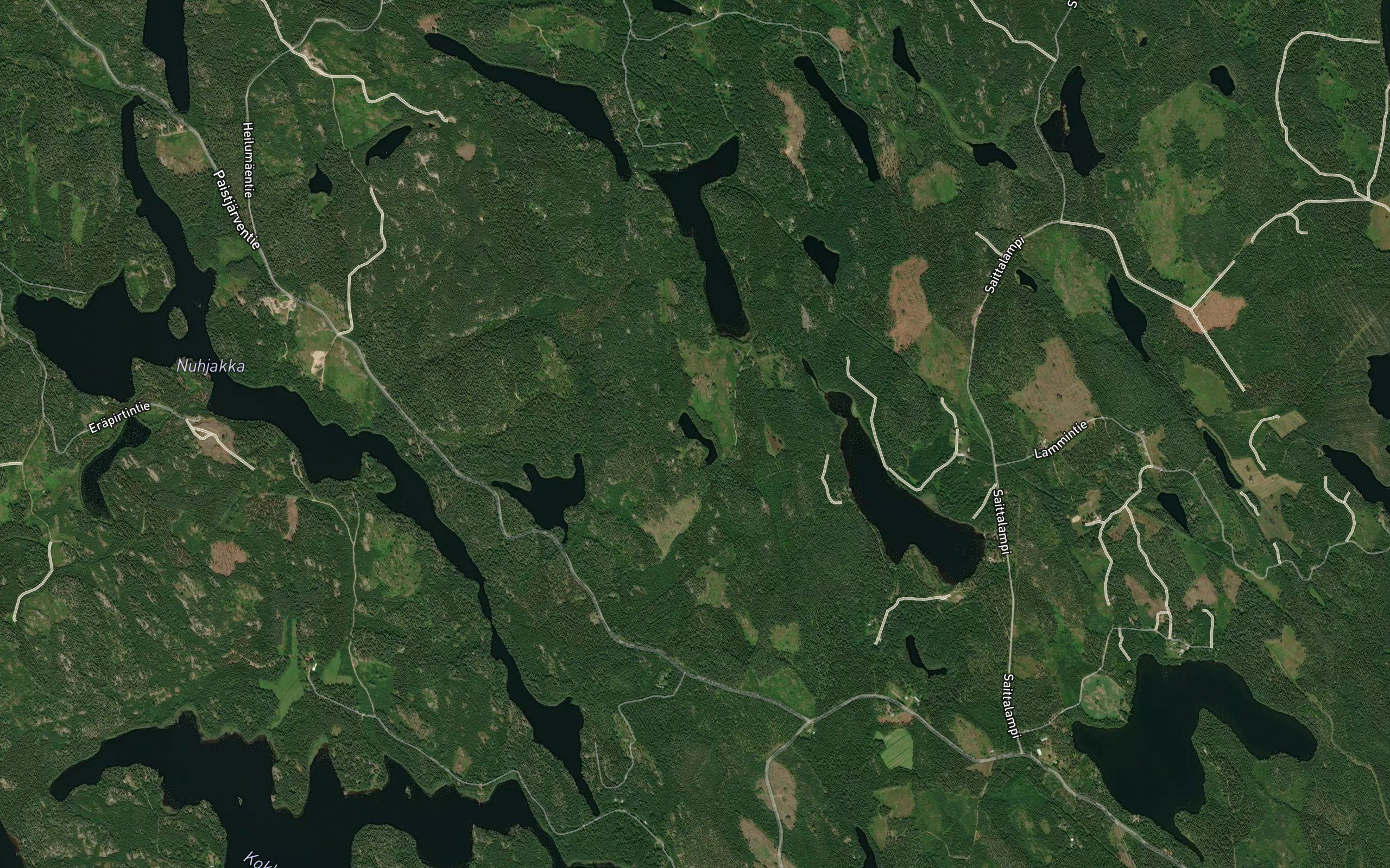 Kalallinen-Simppu