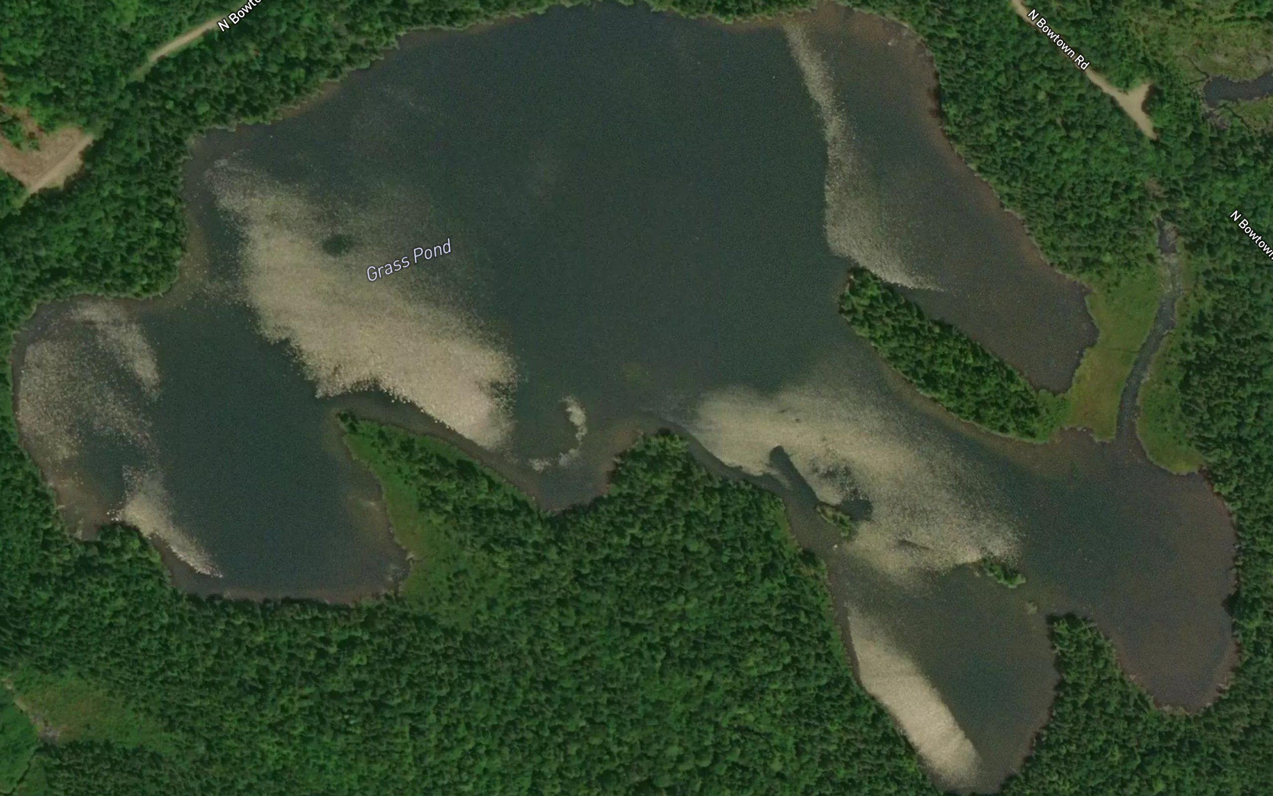 Grass Pond