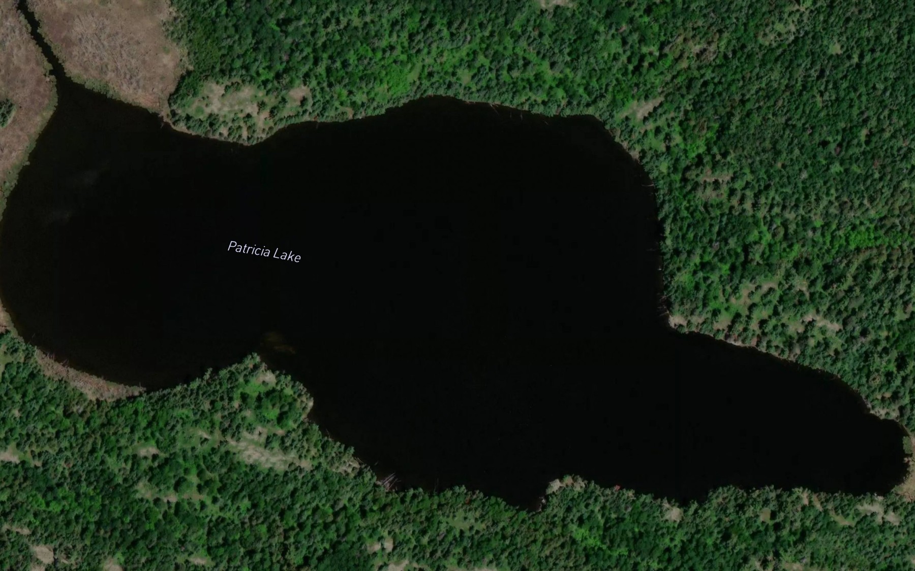Satellite map of the Patricia Lake