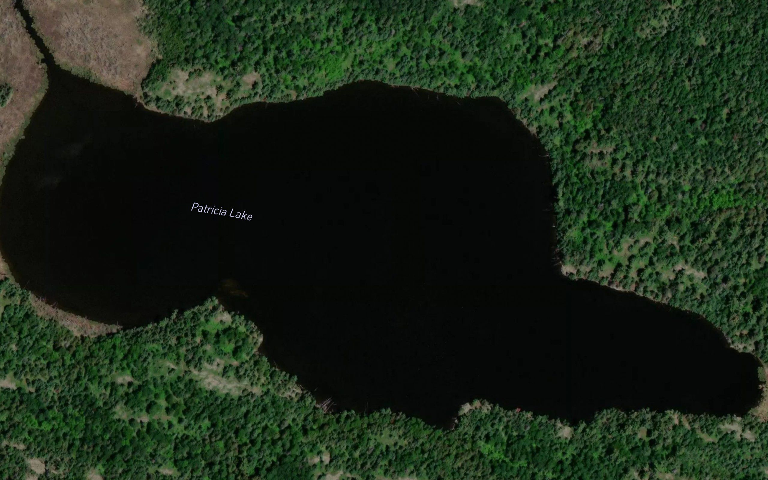 Patricia Lake