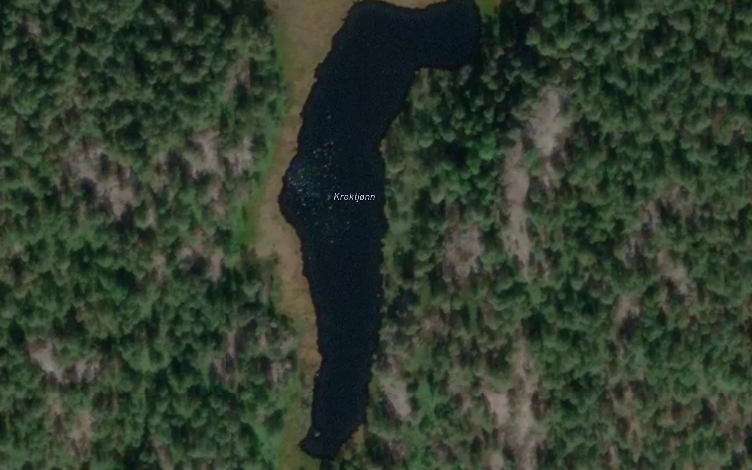 Uvetjorn