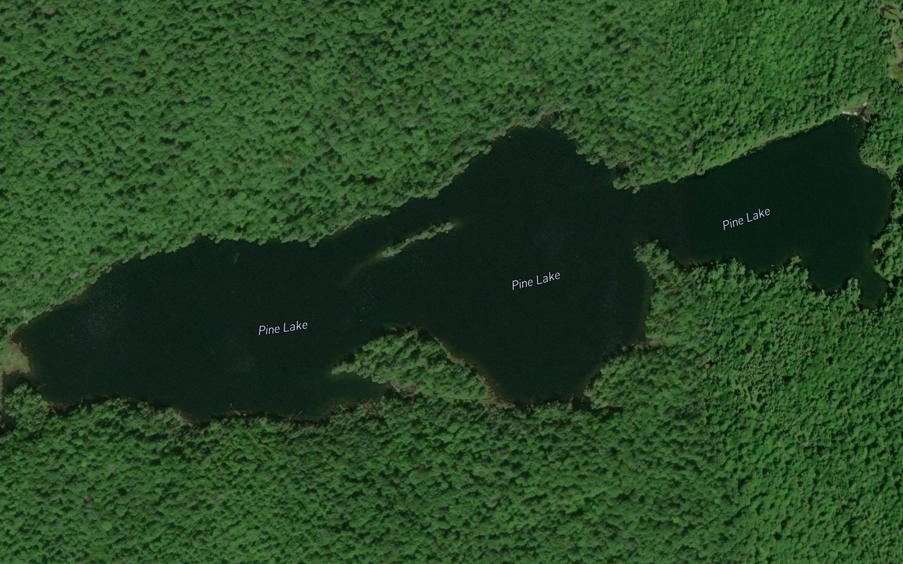 Satellite map of the Pine Lake