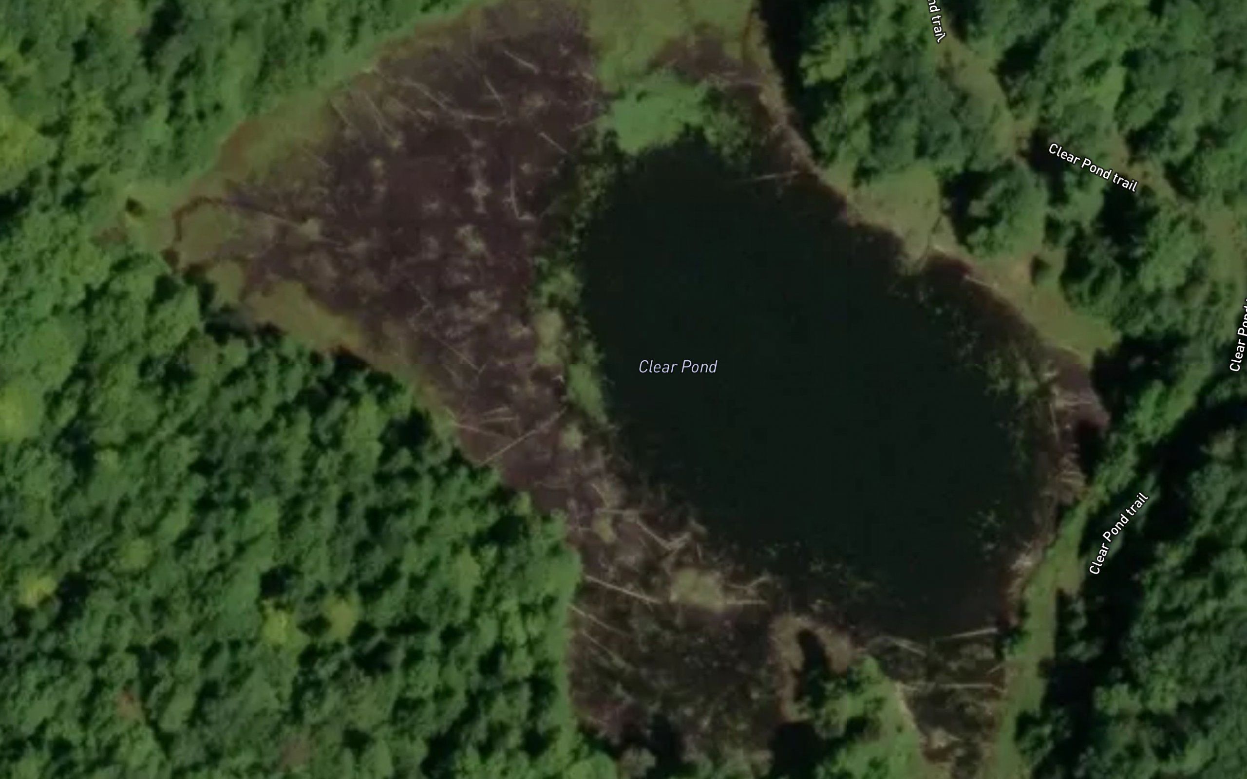 Clear Pond