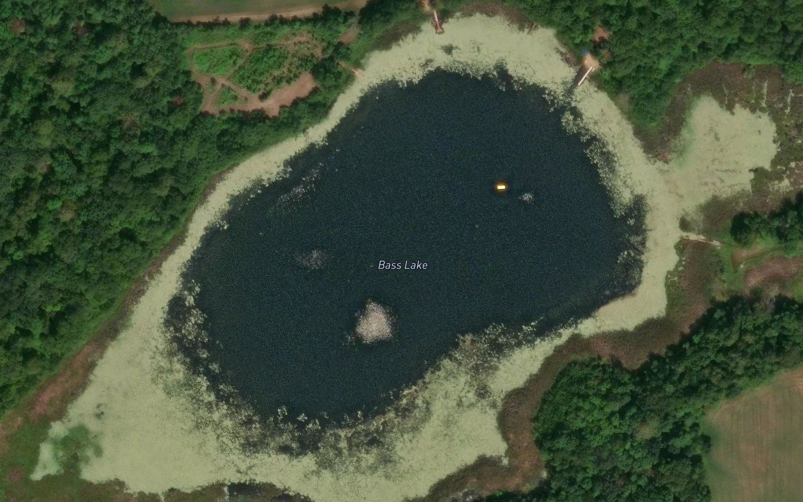 Bass Lake