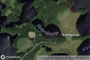 Valkealampi