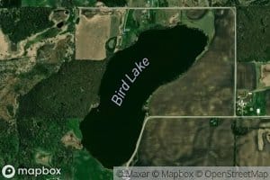 Bird Lake
