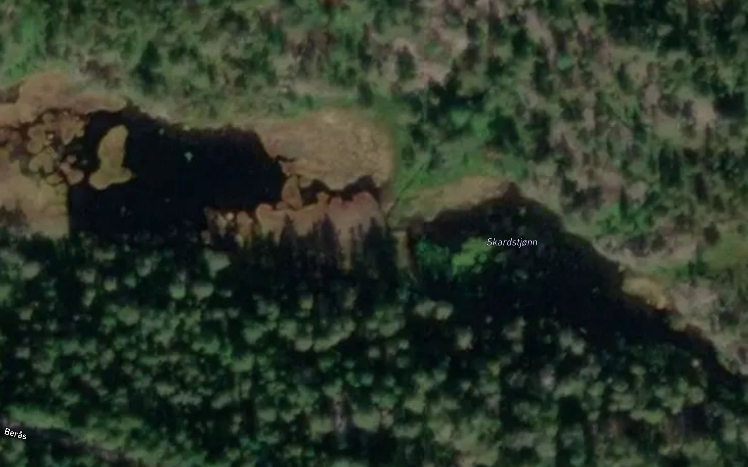 Skardstjorn