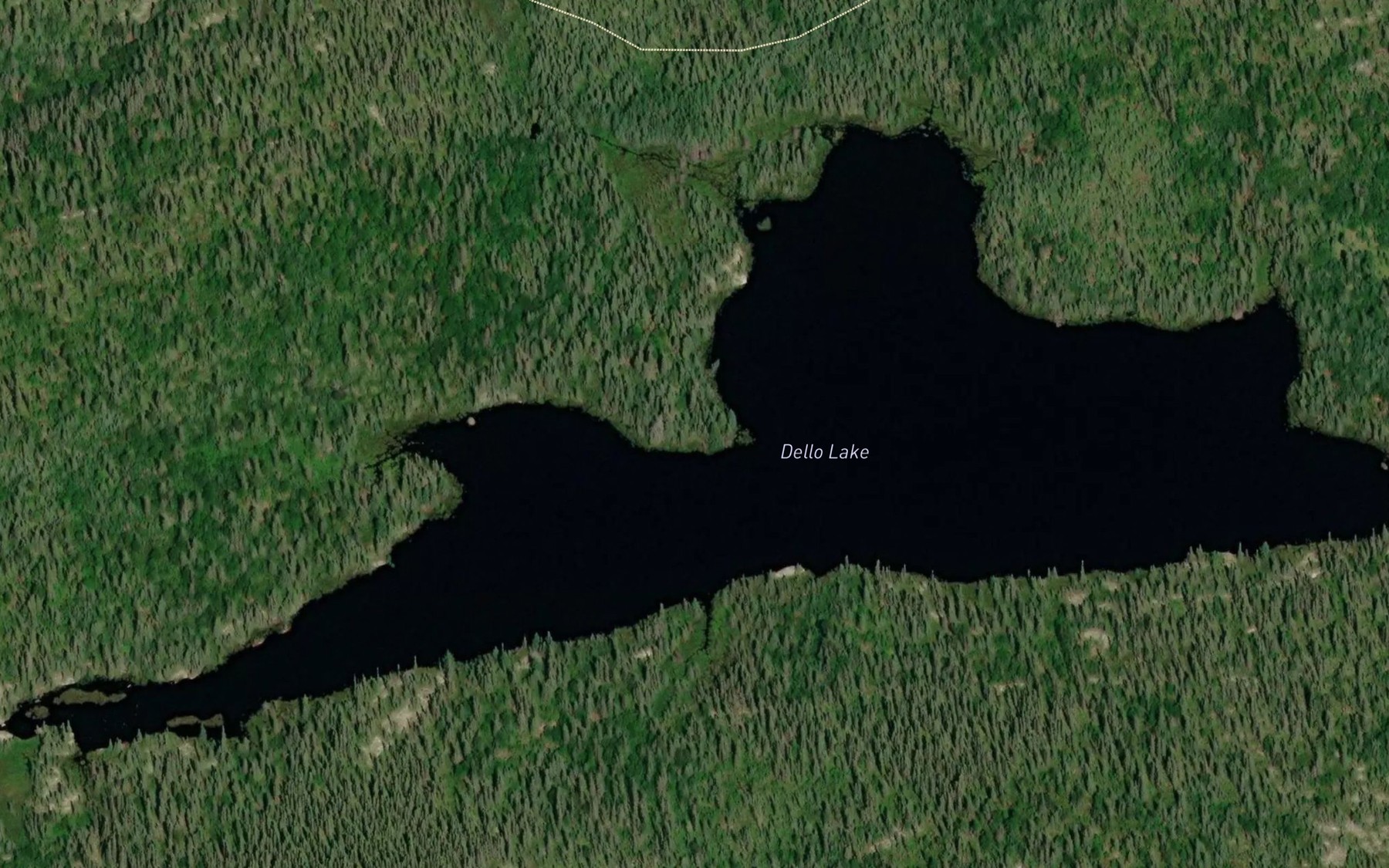 Satellite map of the Dello Lake