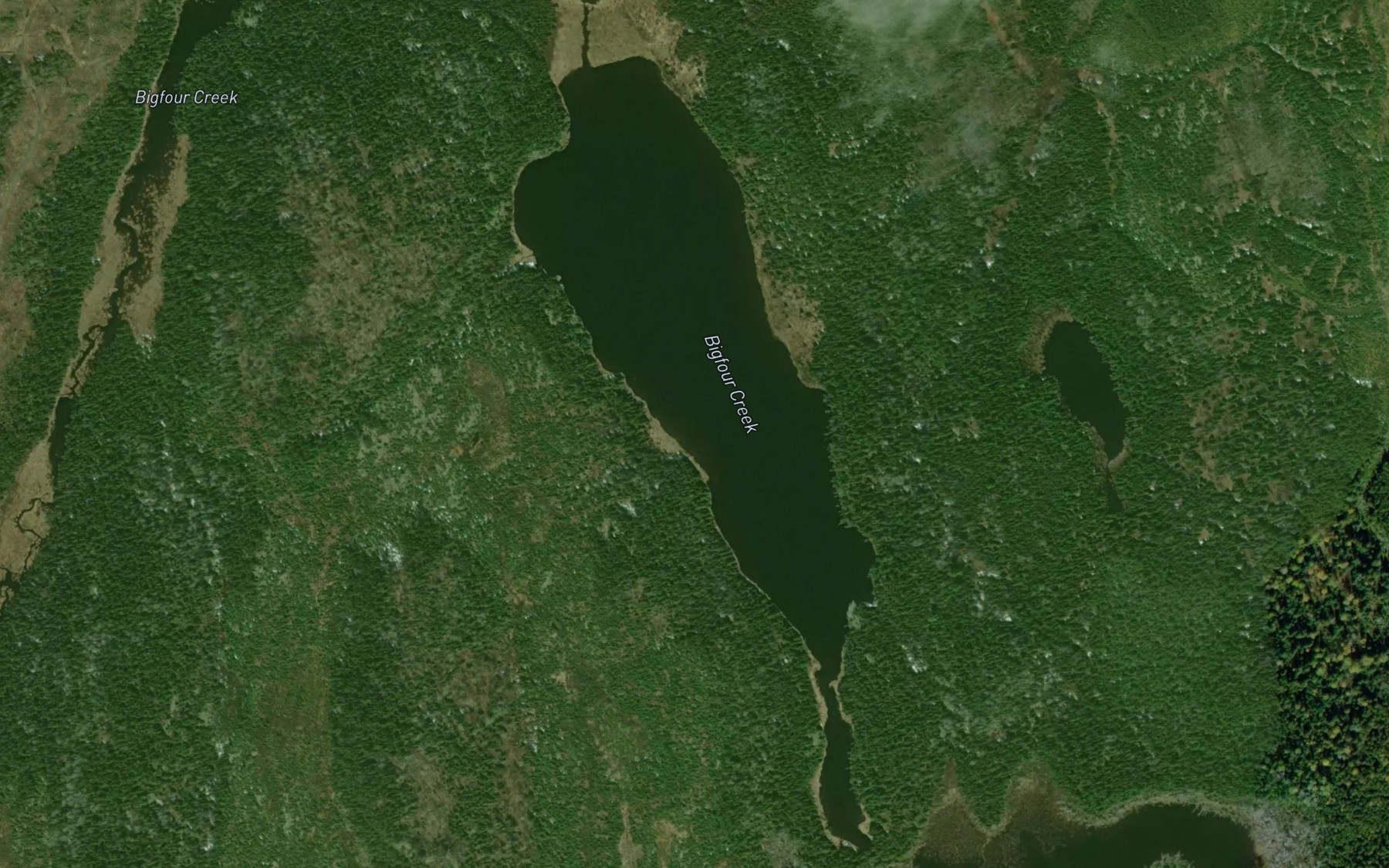 Satellite map of the Bigfour Creek