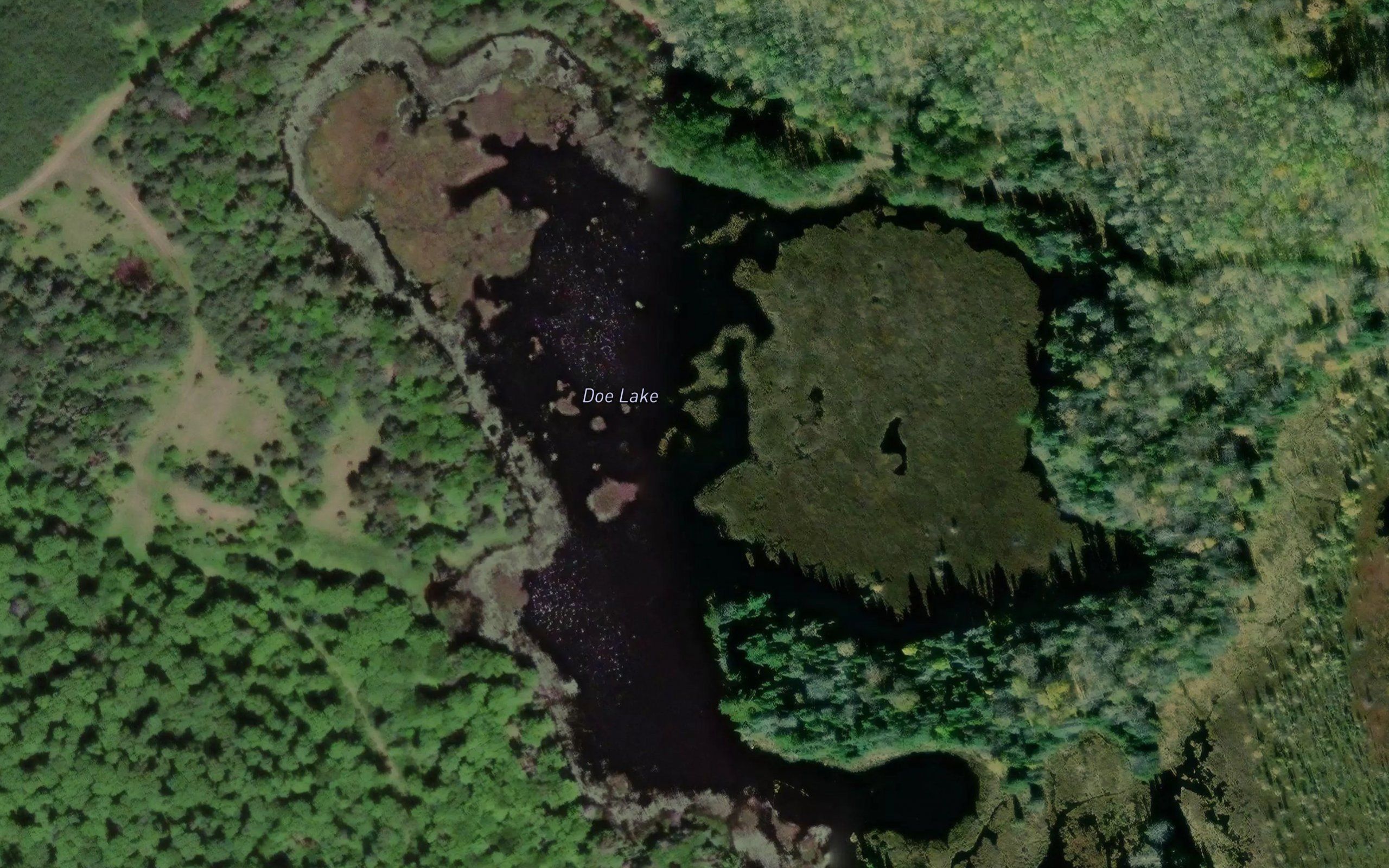 Doe Lake