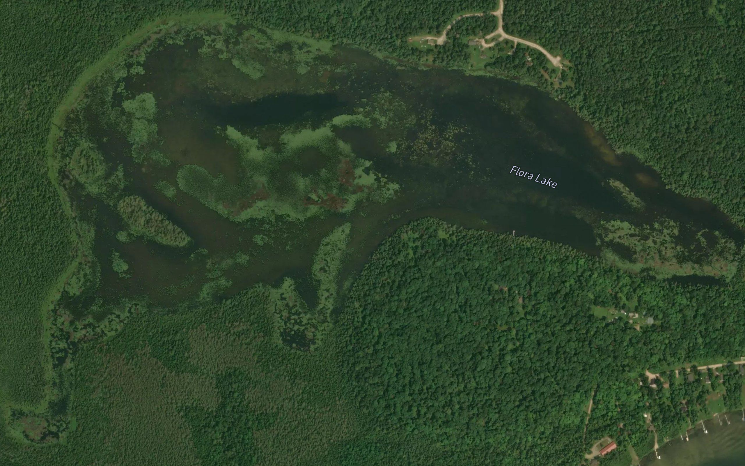 Flora Lake