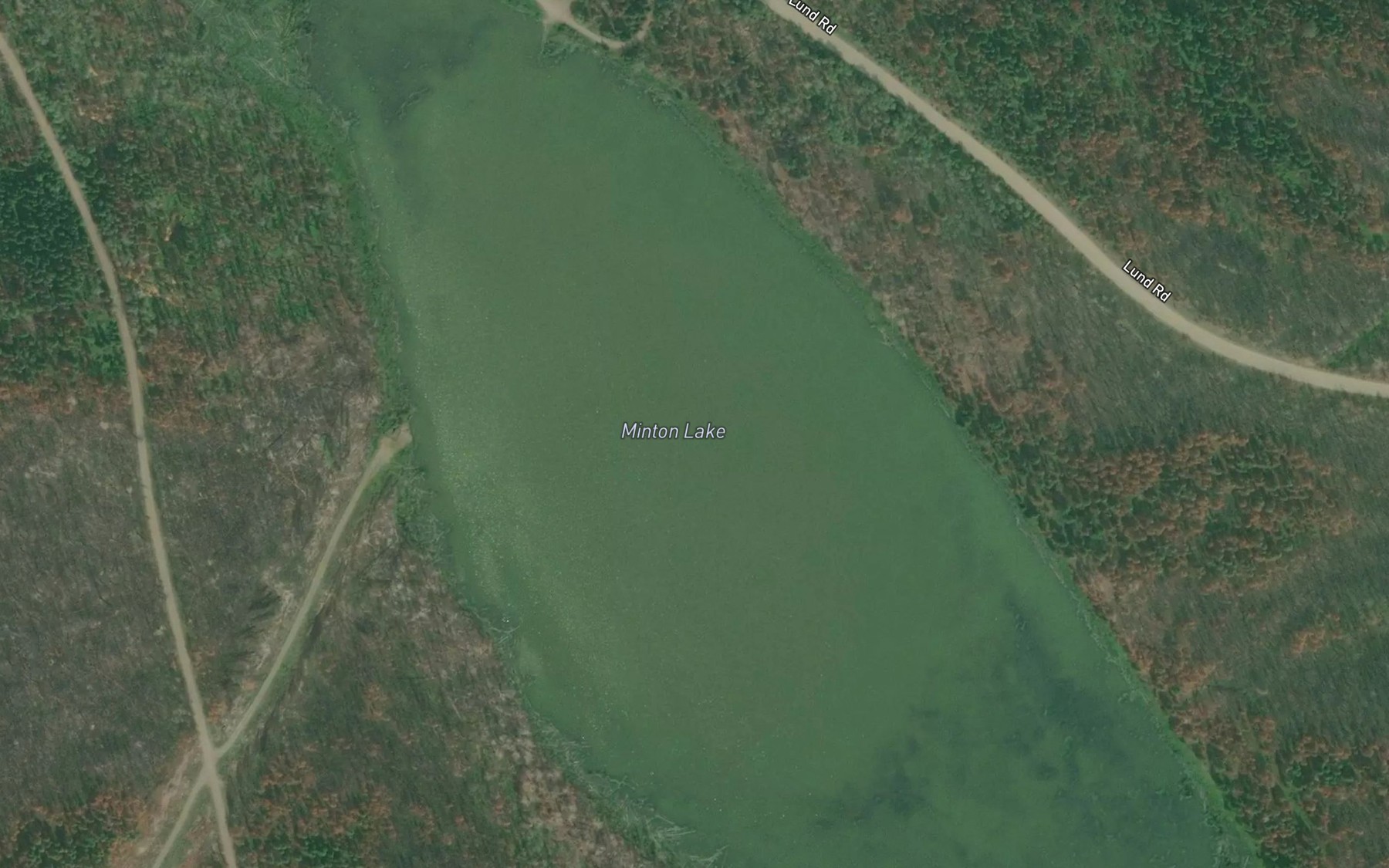 Satellite map of the Minton Lake