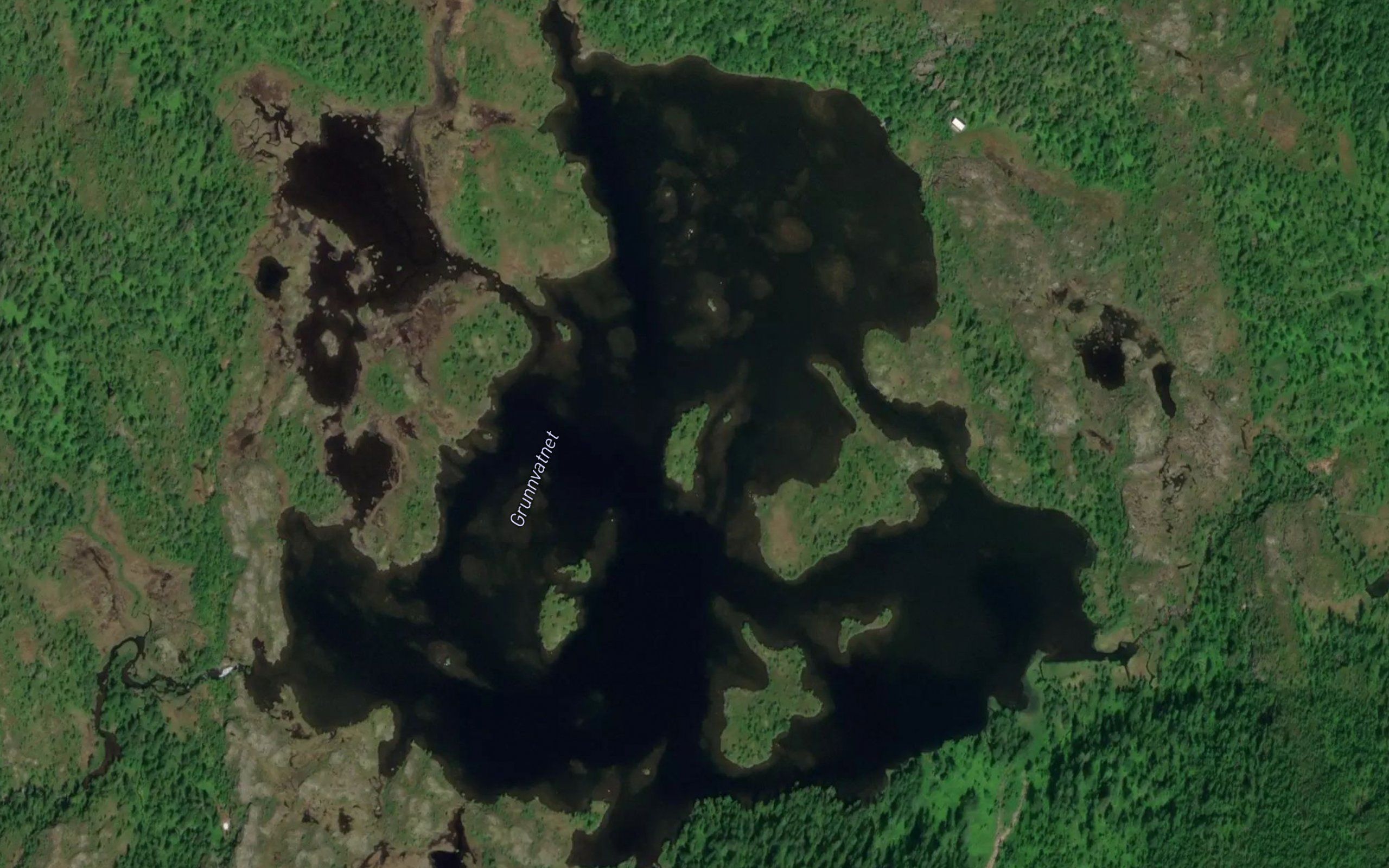 Grunnvatnet