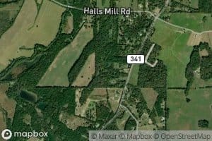 Bailey Branch