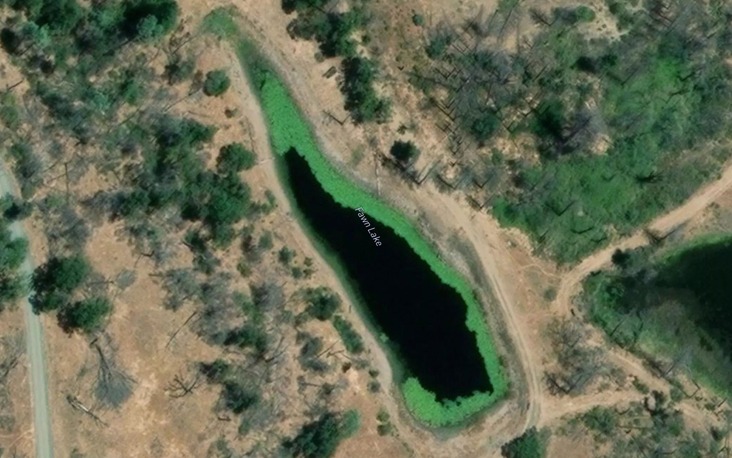 Fawn Lake