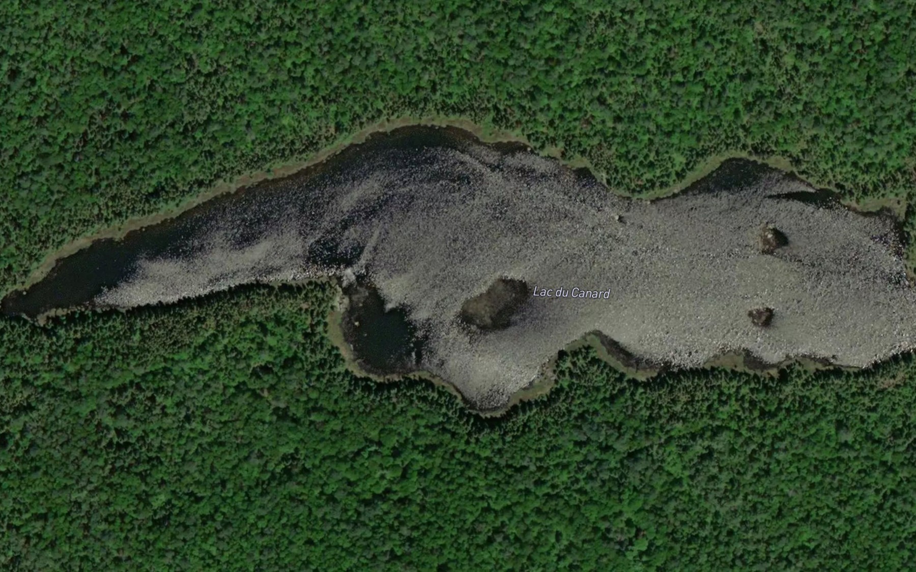 Satellite map of the Lac du Canard