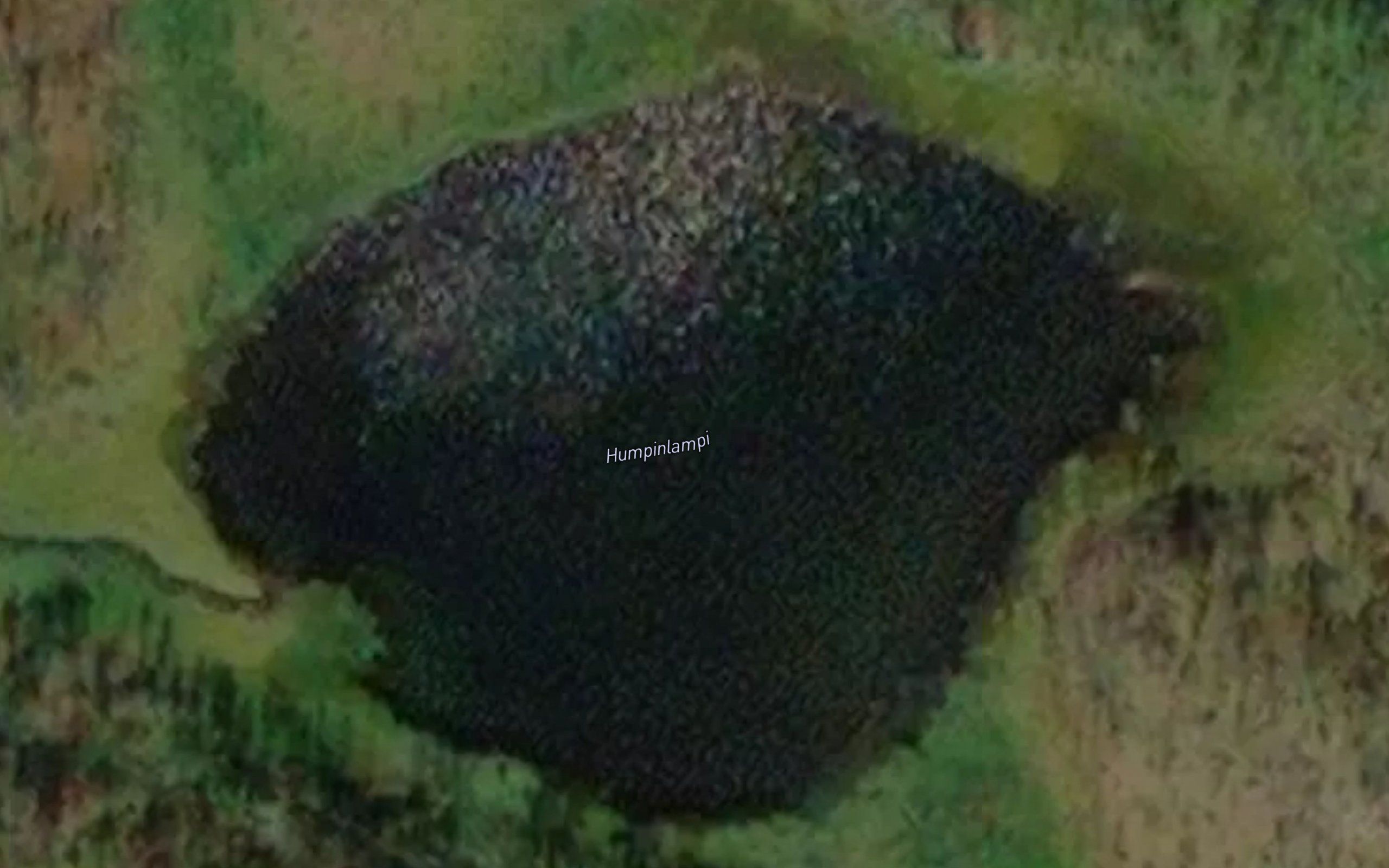 Hyvibilempi