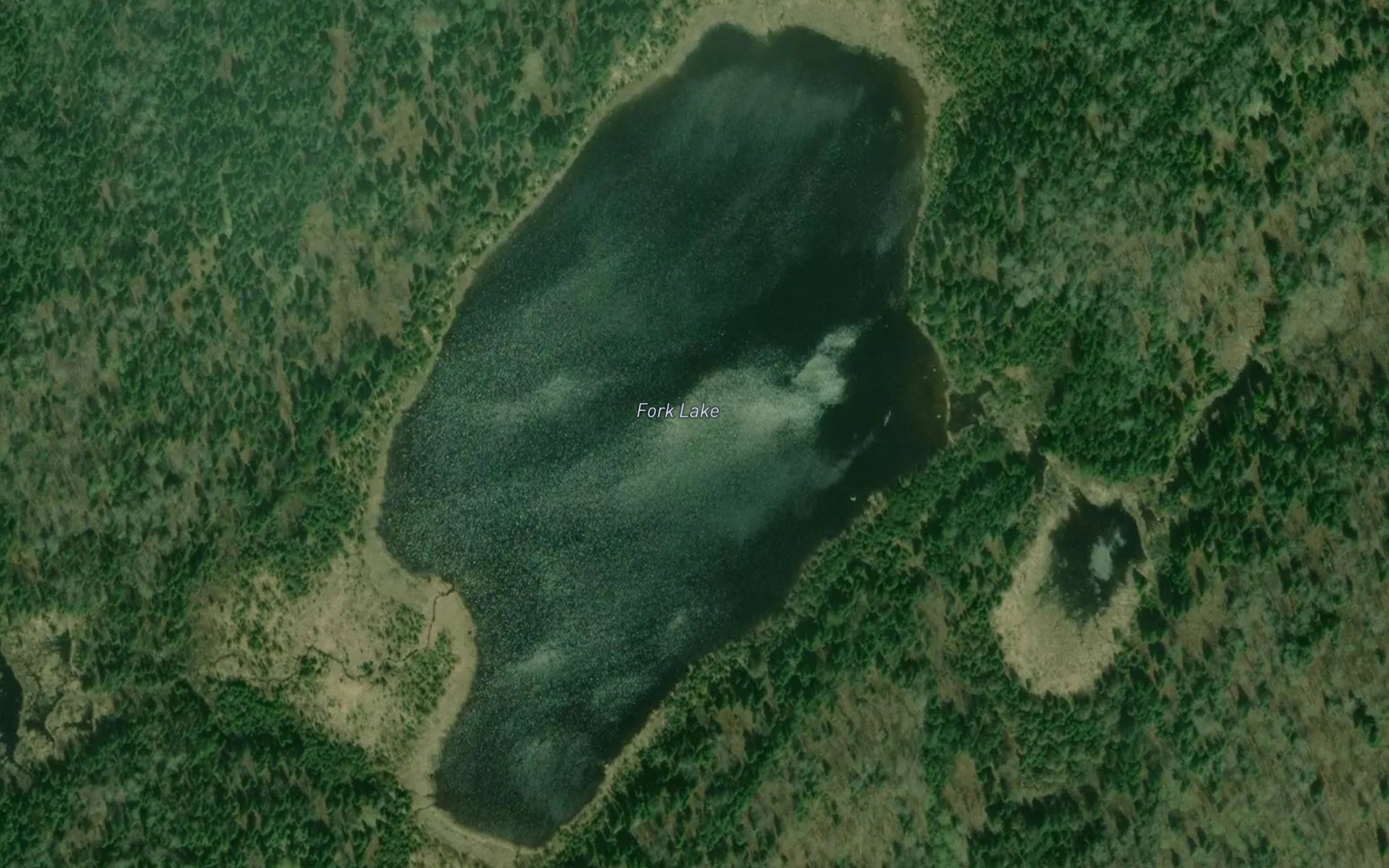 Satellite map of the Fork Lake