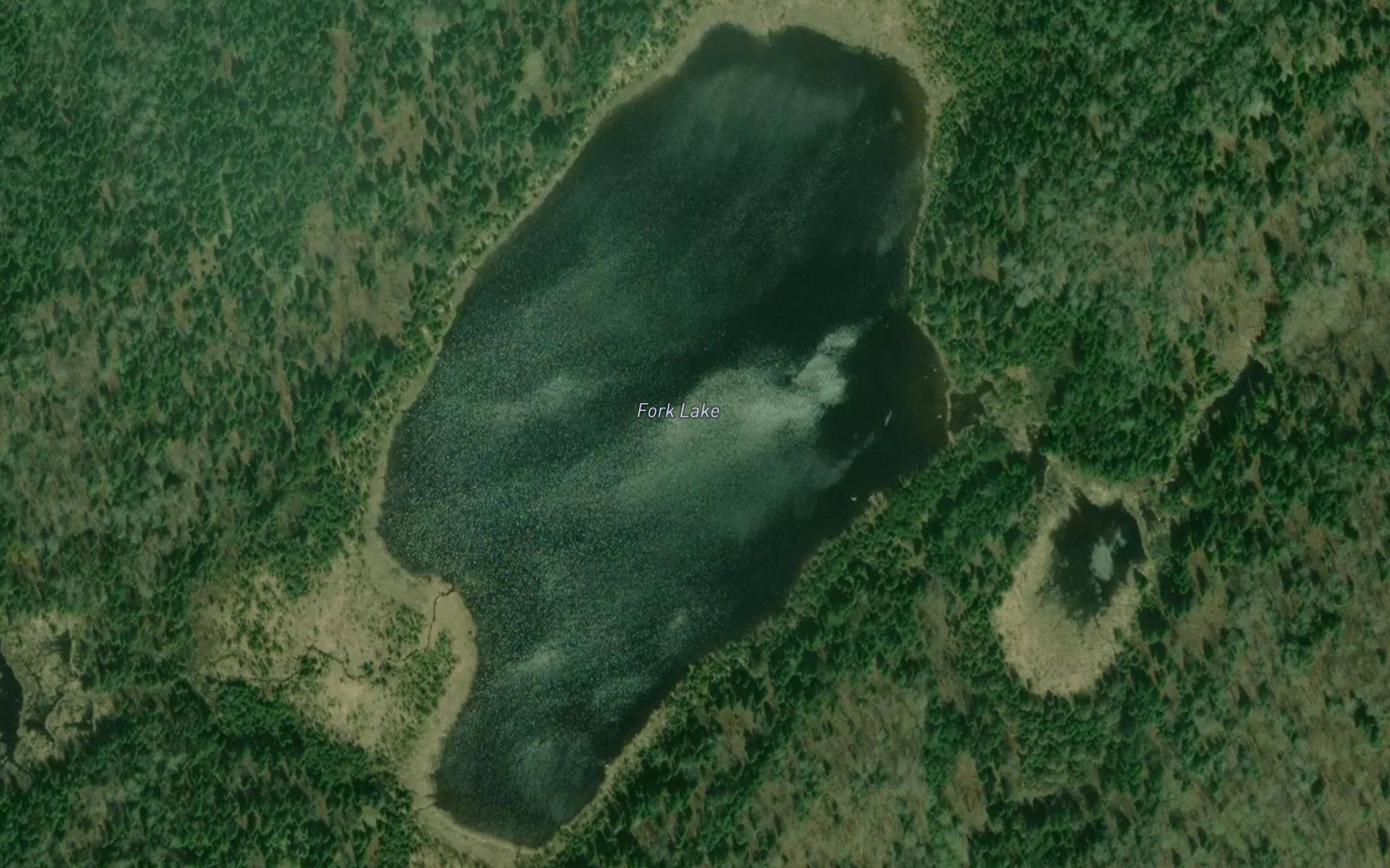 Fork Lake