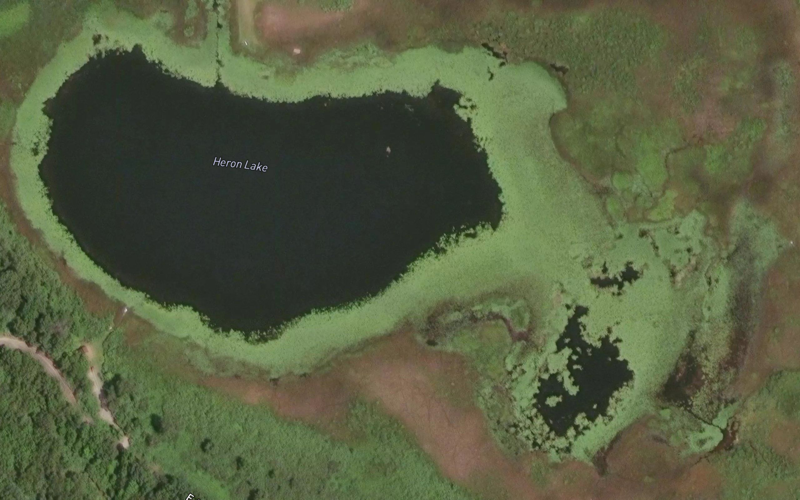 Heron Lake