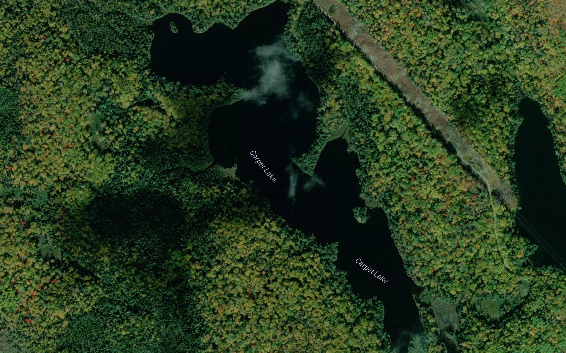 Satellite map of the Carpet Lake