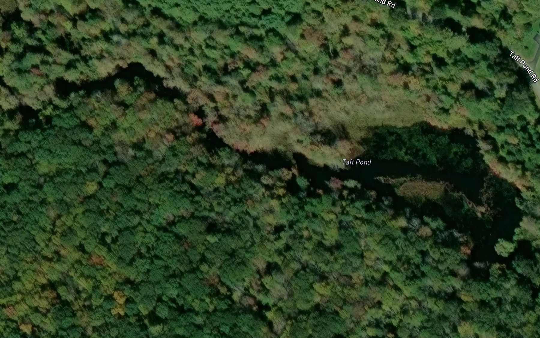Satellite map of the Taft Pond